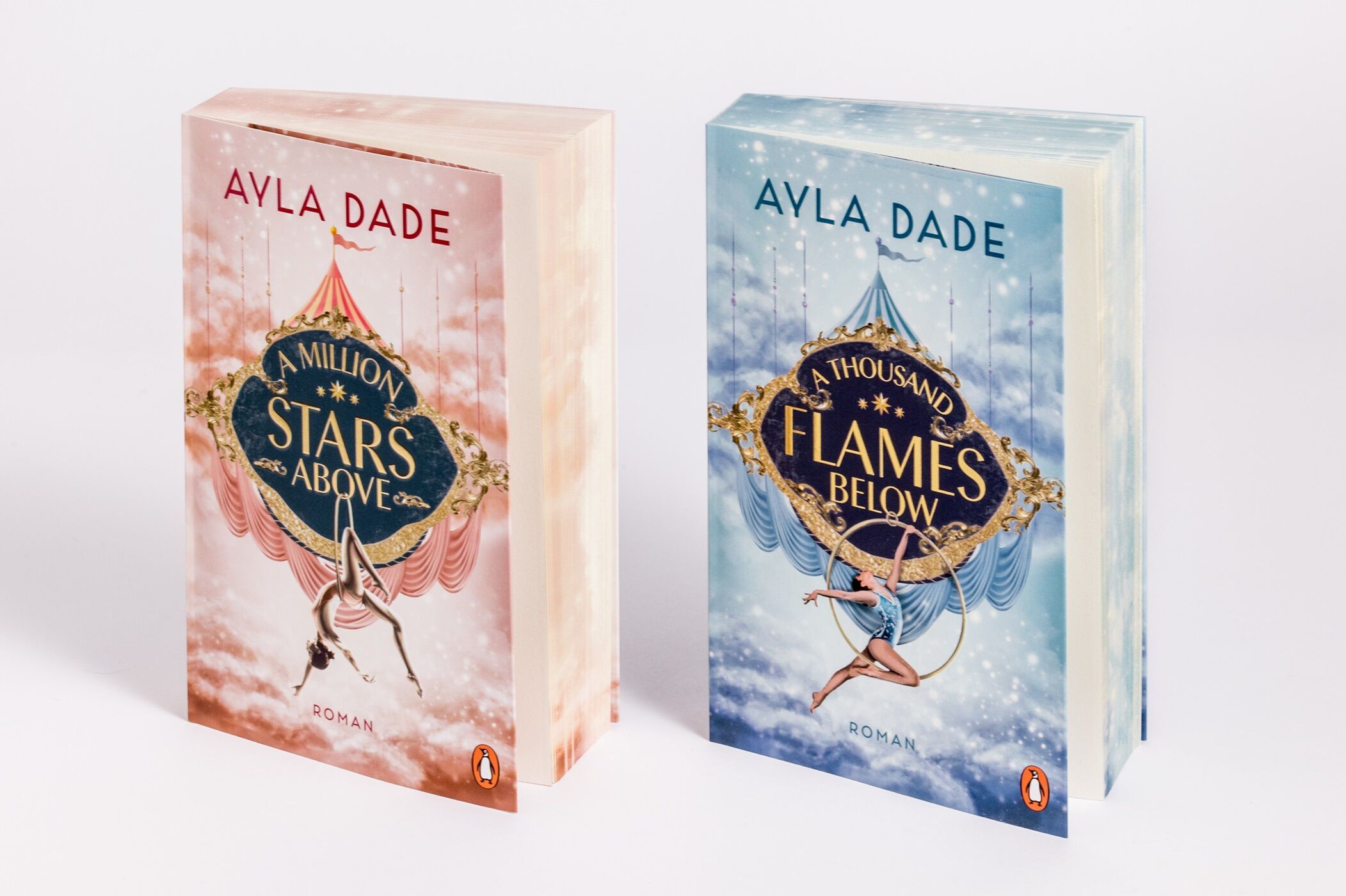 Abbildung 8 von A Million Stars Above