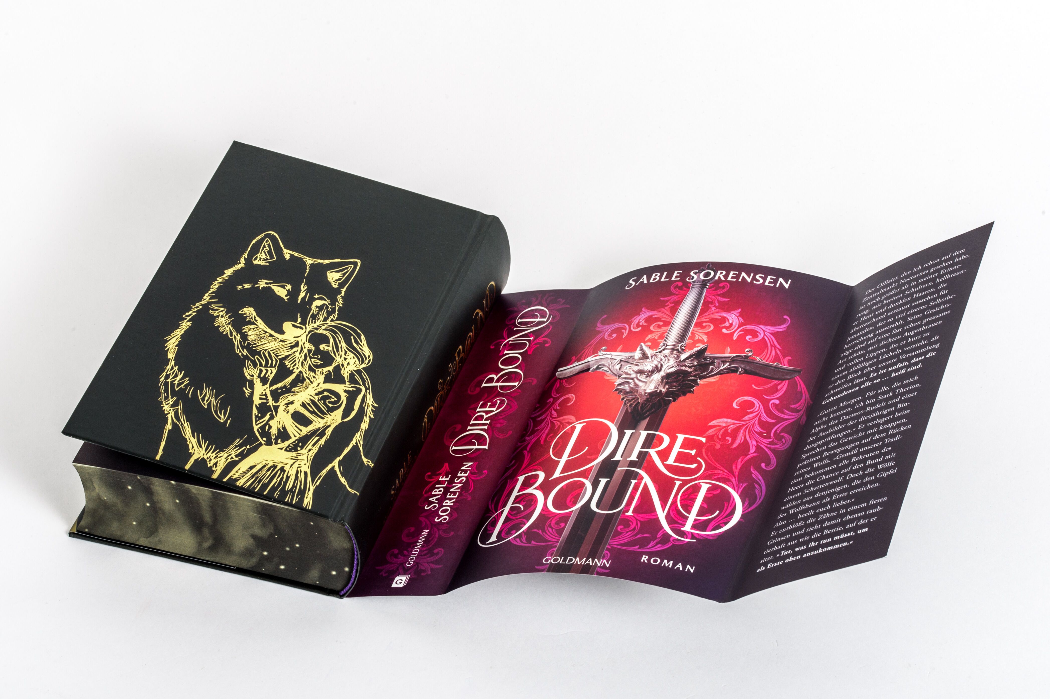 Abbildung 10 von Dire Bound