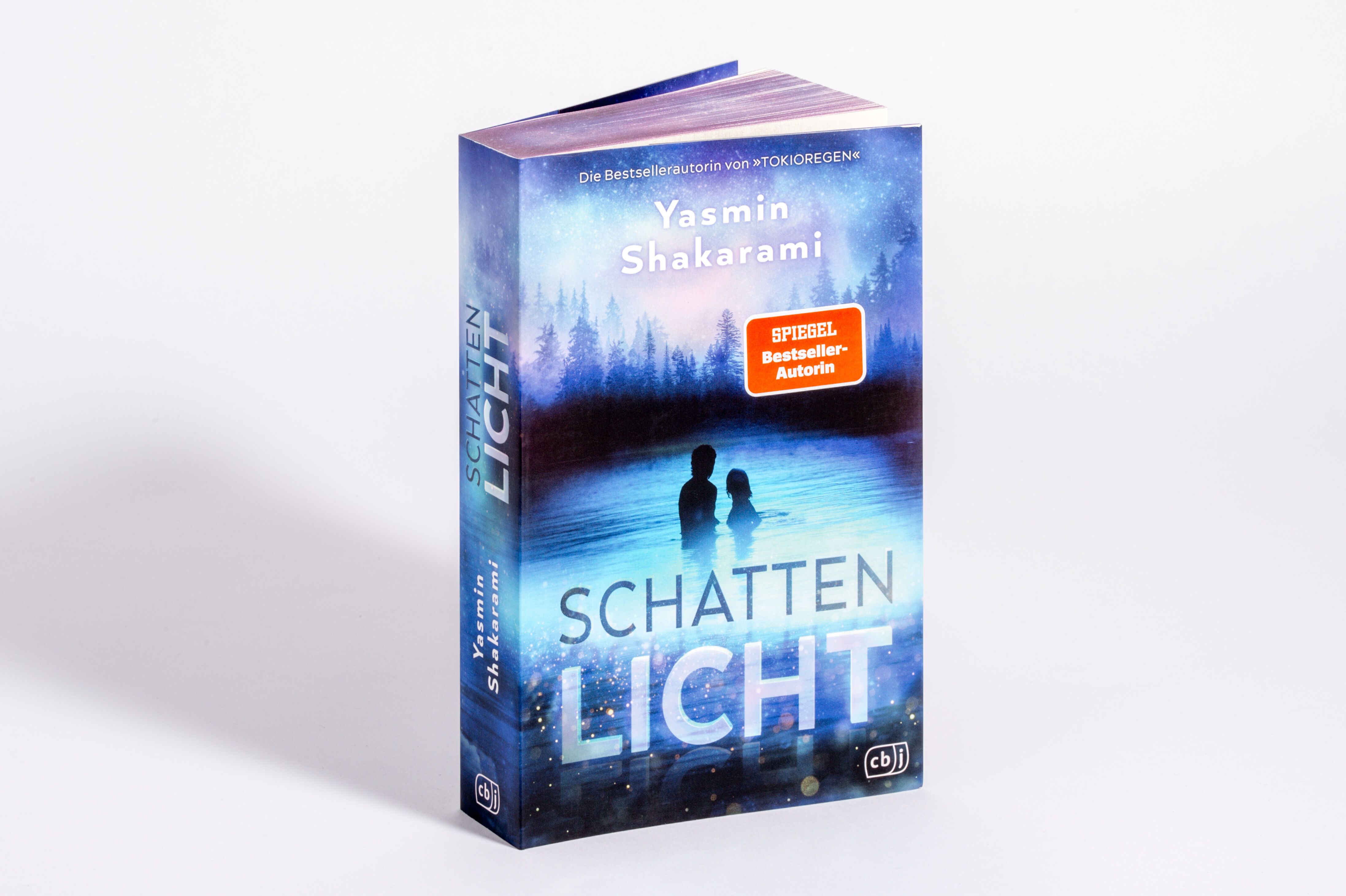 Abbildung 1 von Schattenlicht
