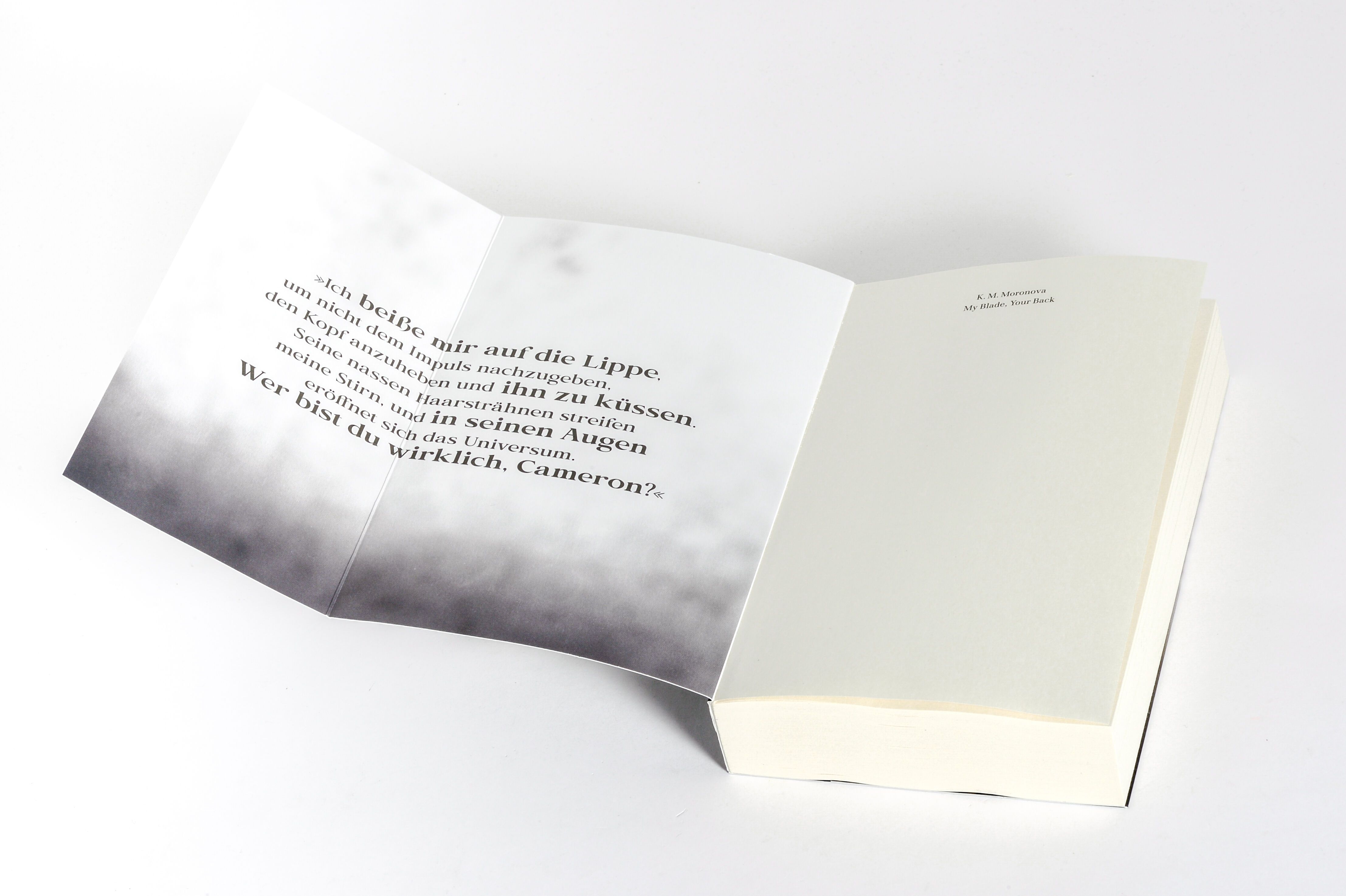 Abbildung 5 von My Blade, Your Back