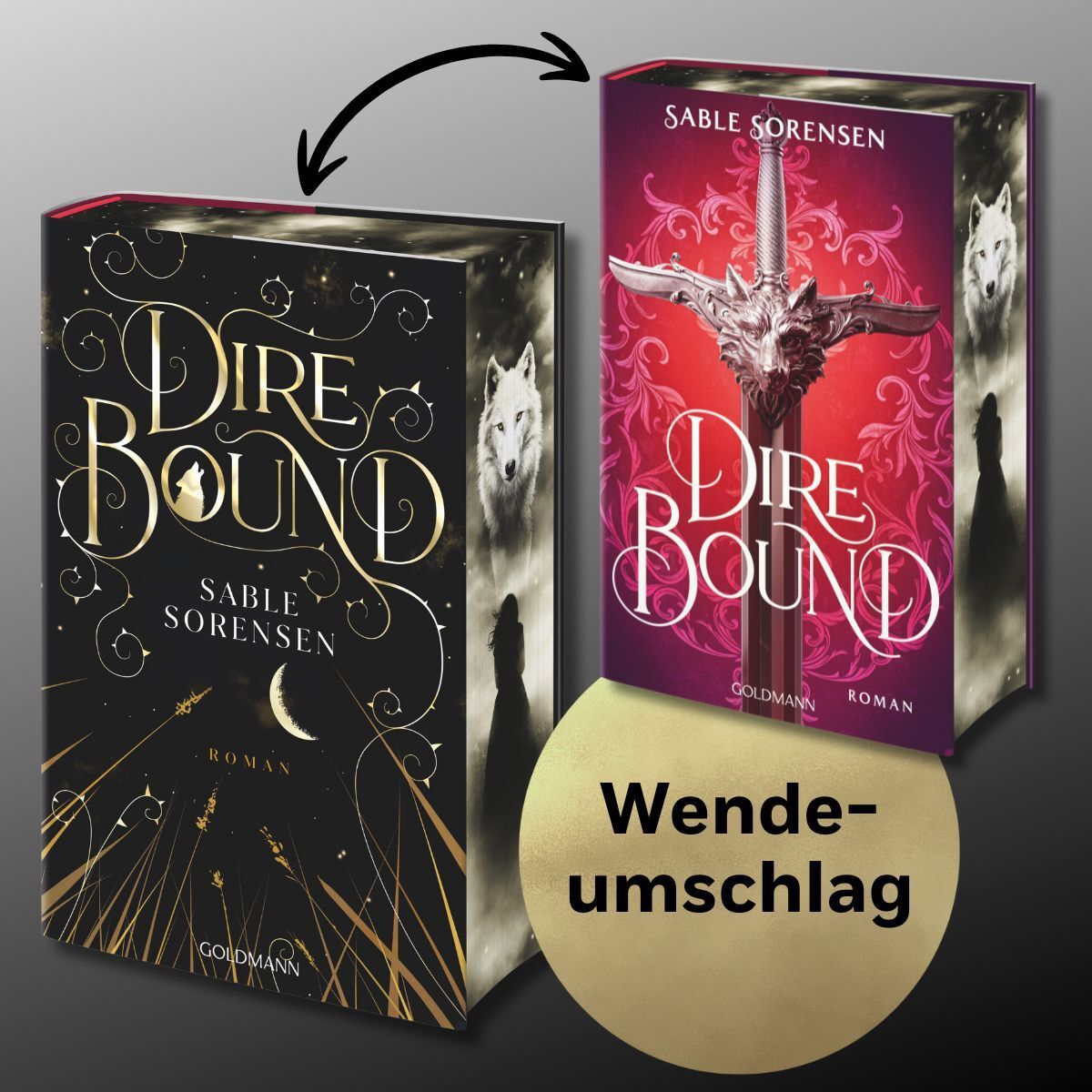 Abbildung 12 von Dire Bound