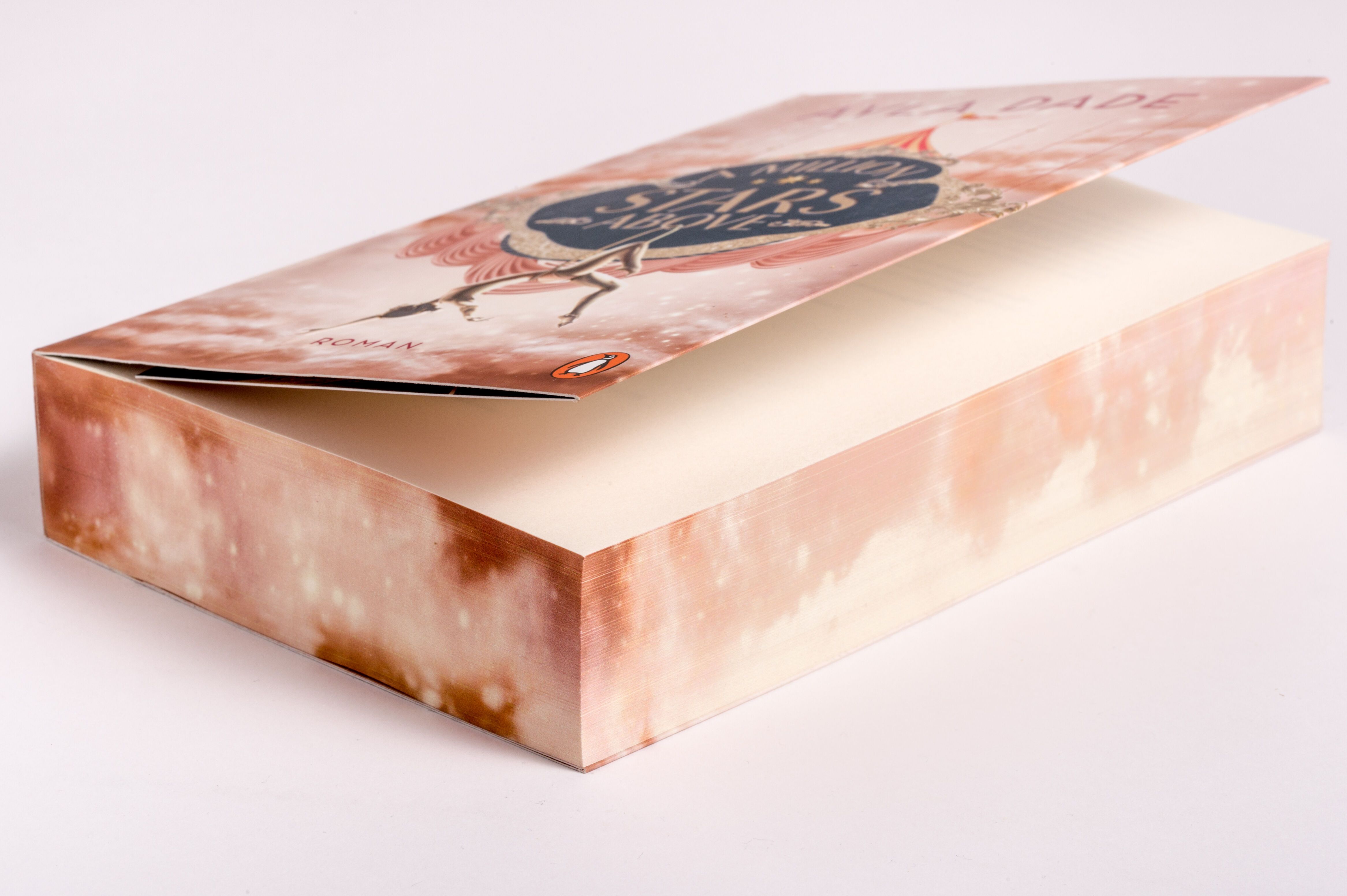 Abbildung 7 von A Million Stars Above
