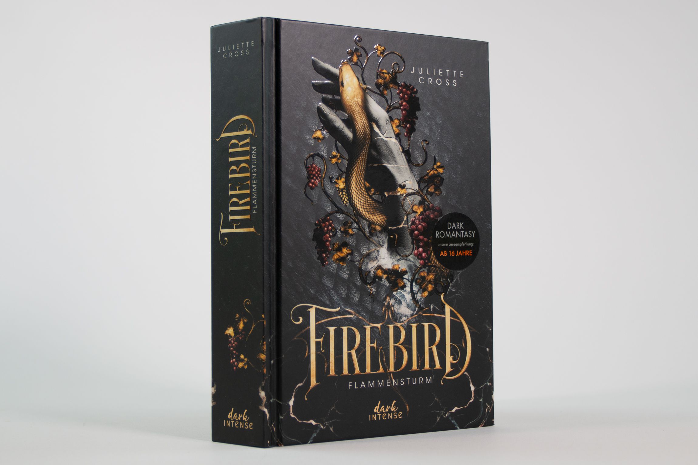 Abbildung 4 von Flammensturm (Band 1) - Firebird