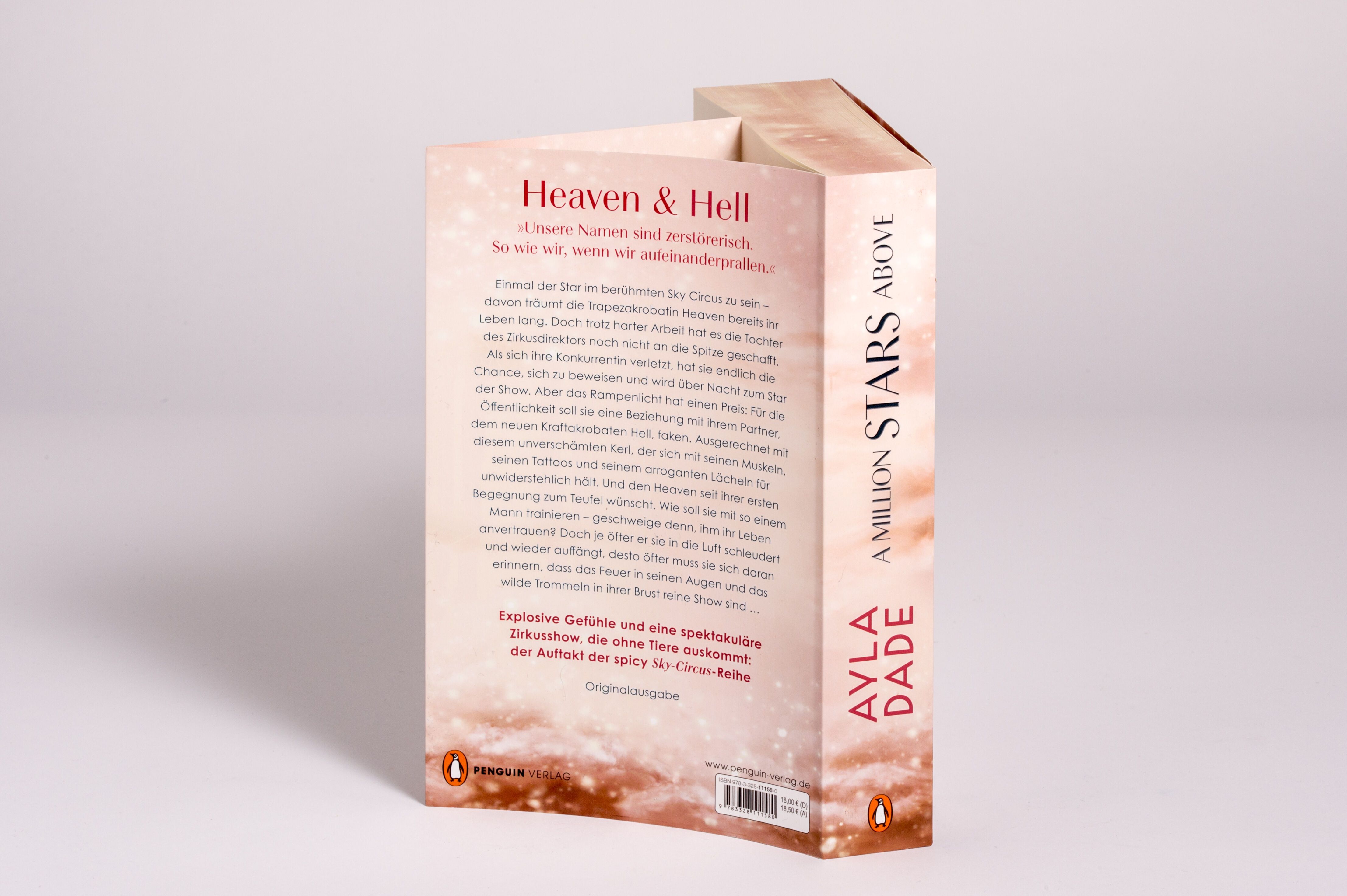 Abbildung 3 von A Million Stars Above