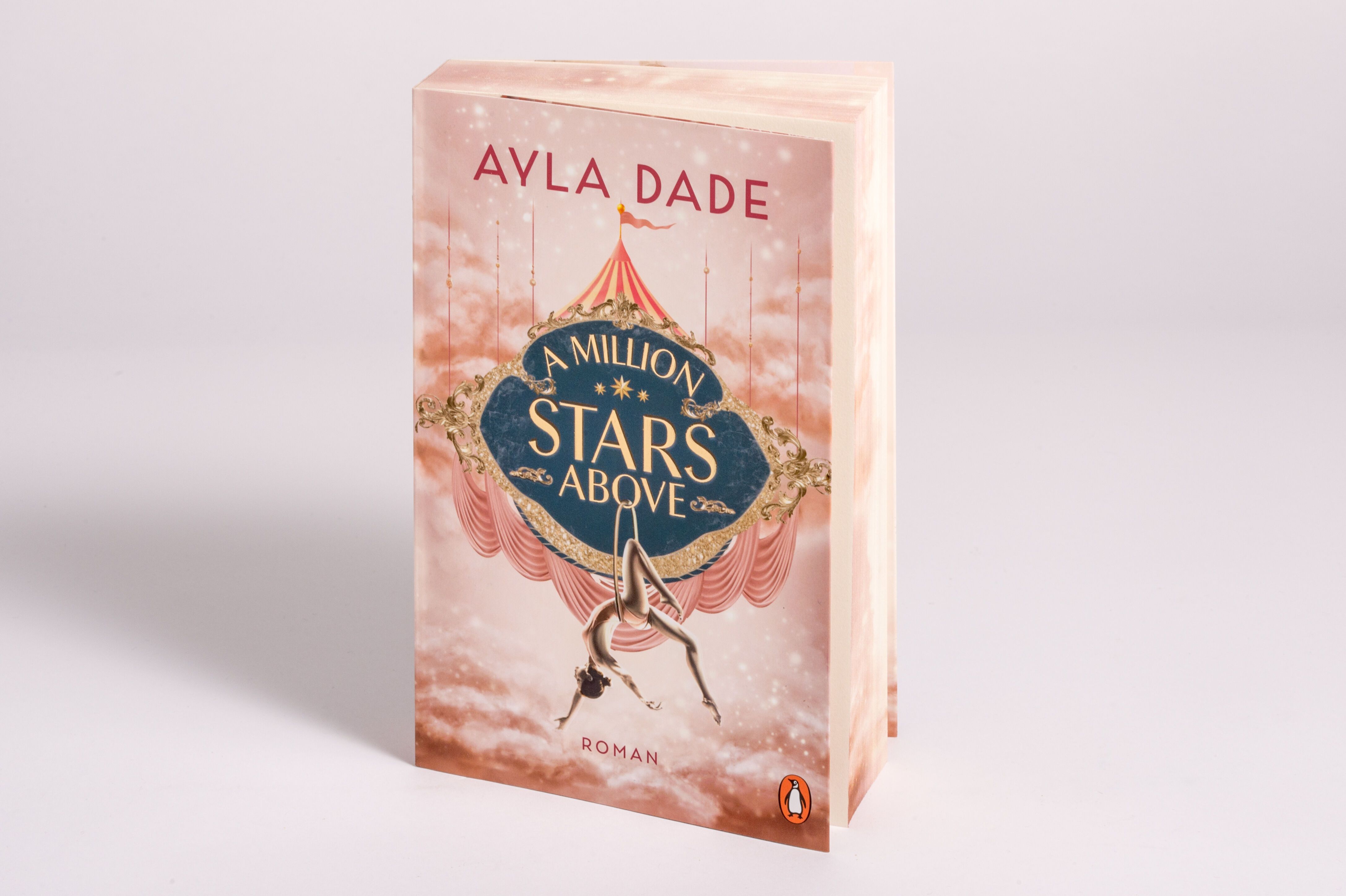 Abbildung 2 von A Million Stars Above