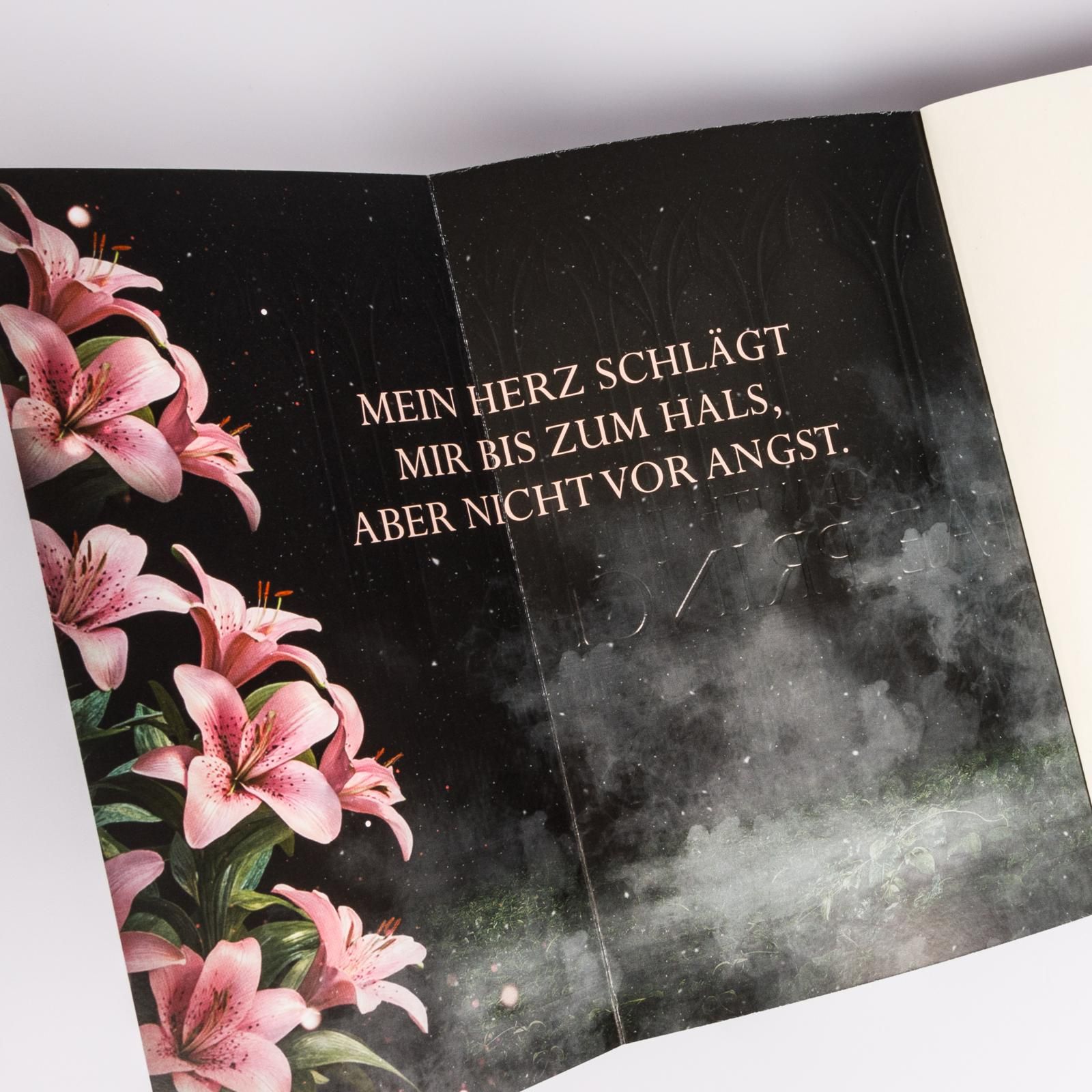 Abbildung 5 von Married into Magic: Dance with the Fae Prince