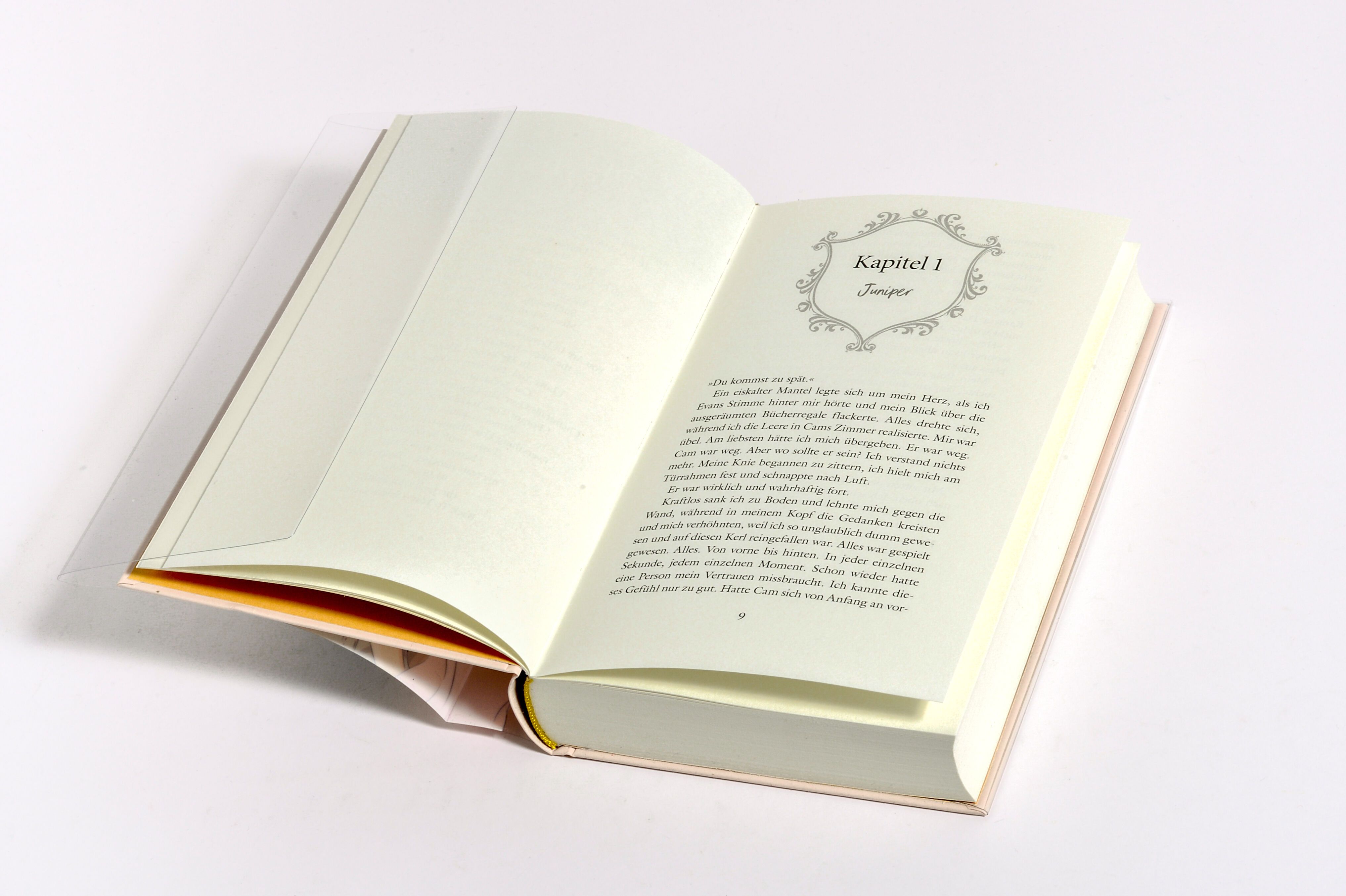 Abbildung 5 von Hamptons Prestige - Doubts & Desires