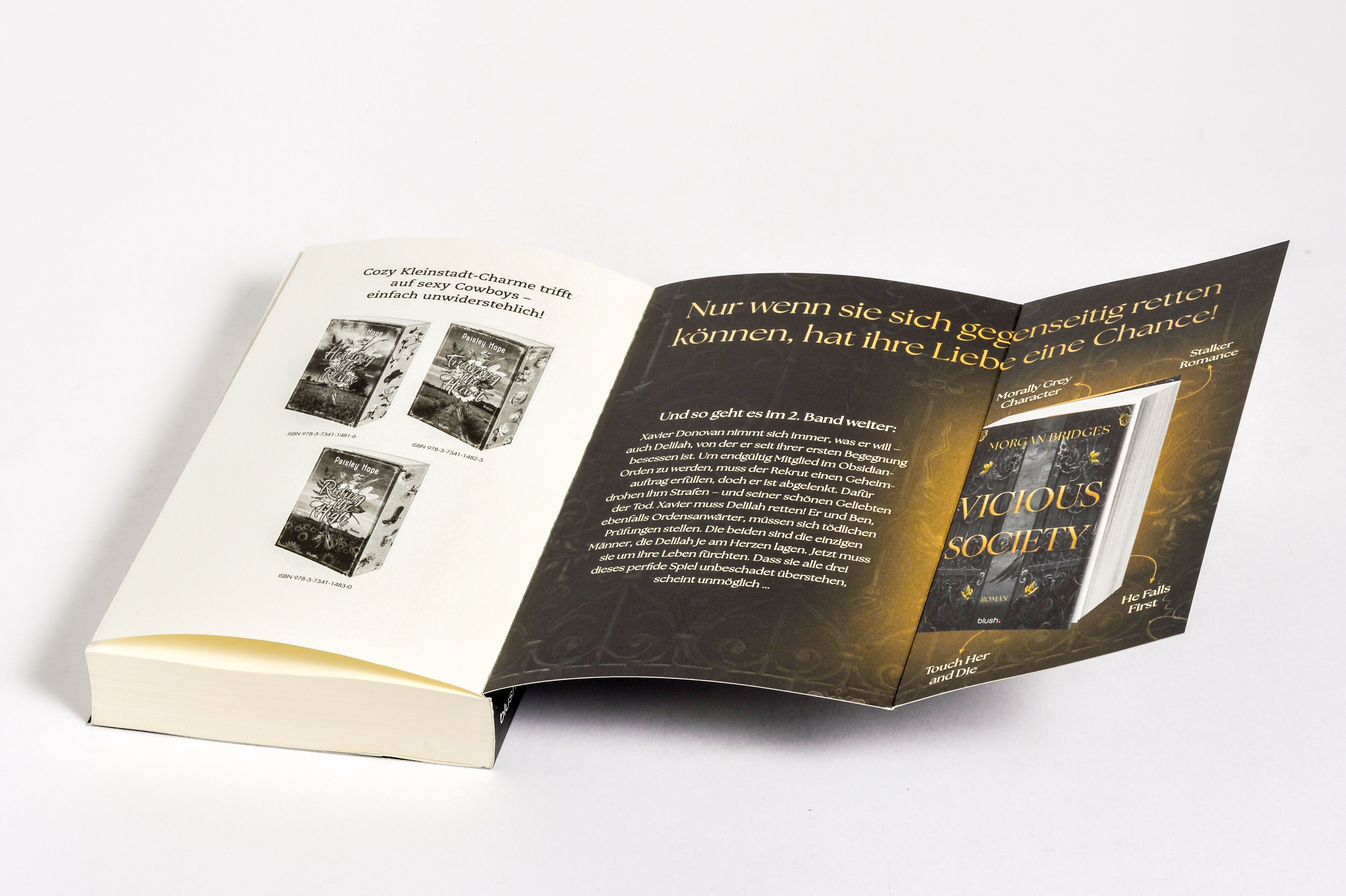 Abbildung 6 von Vicious Secret
