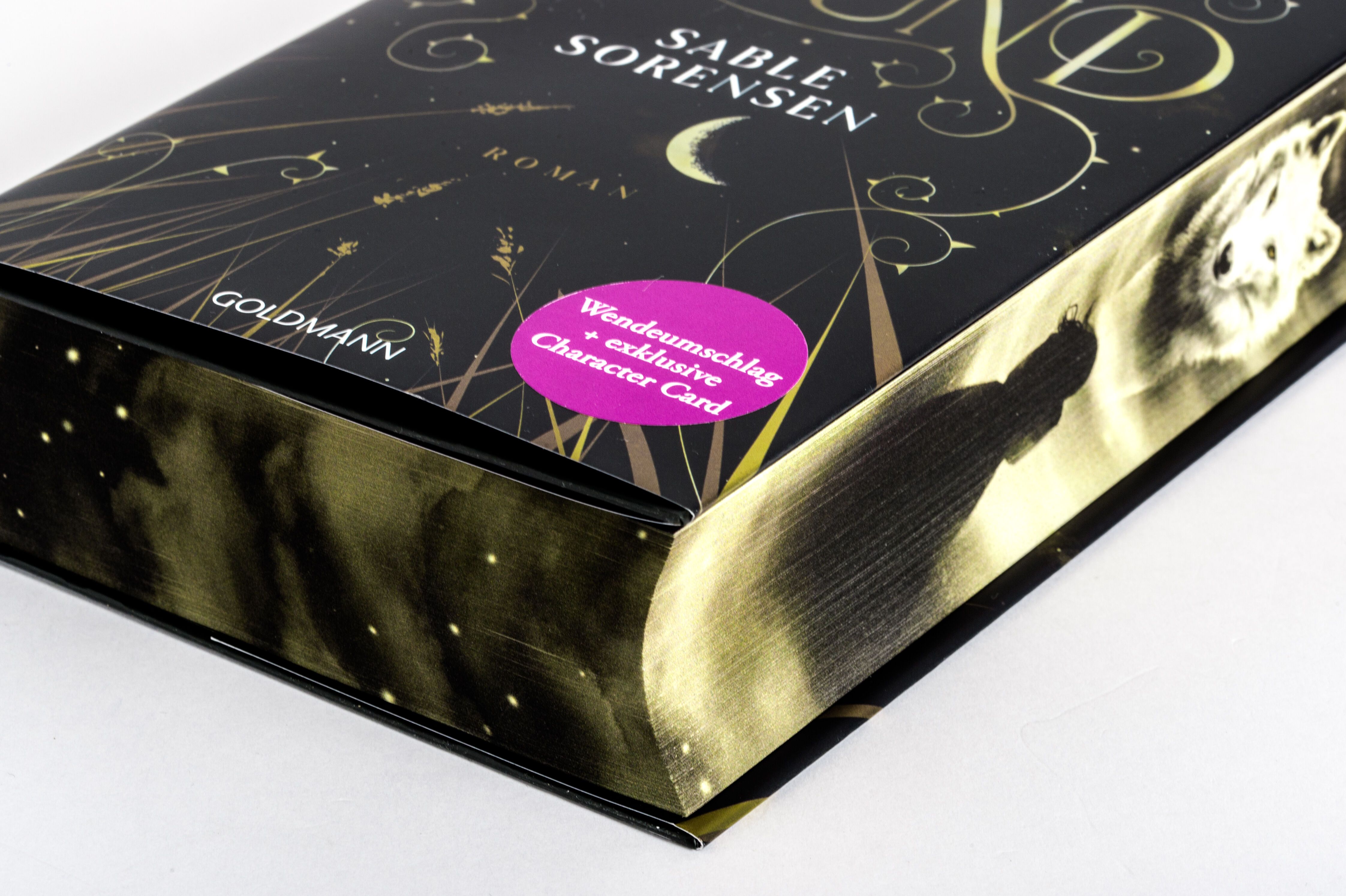 Abbildung 11 von Dire Bound
