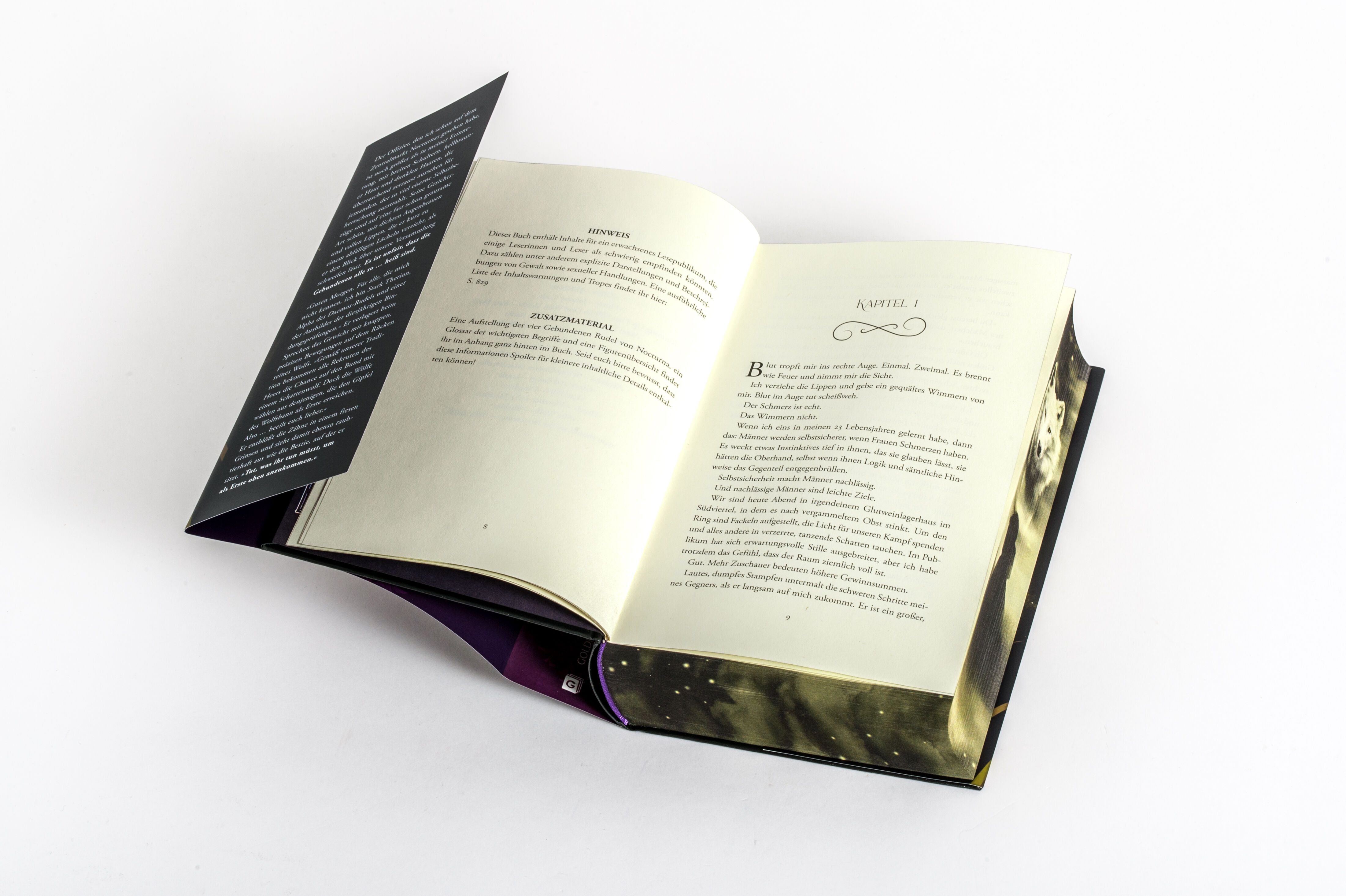 Abbildung 8 von Dire Bound