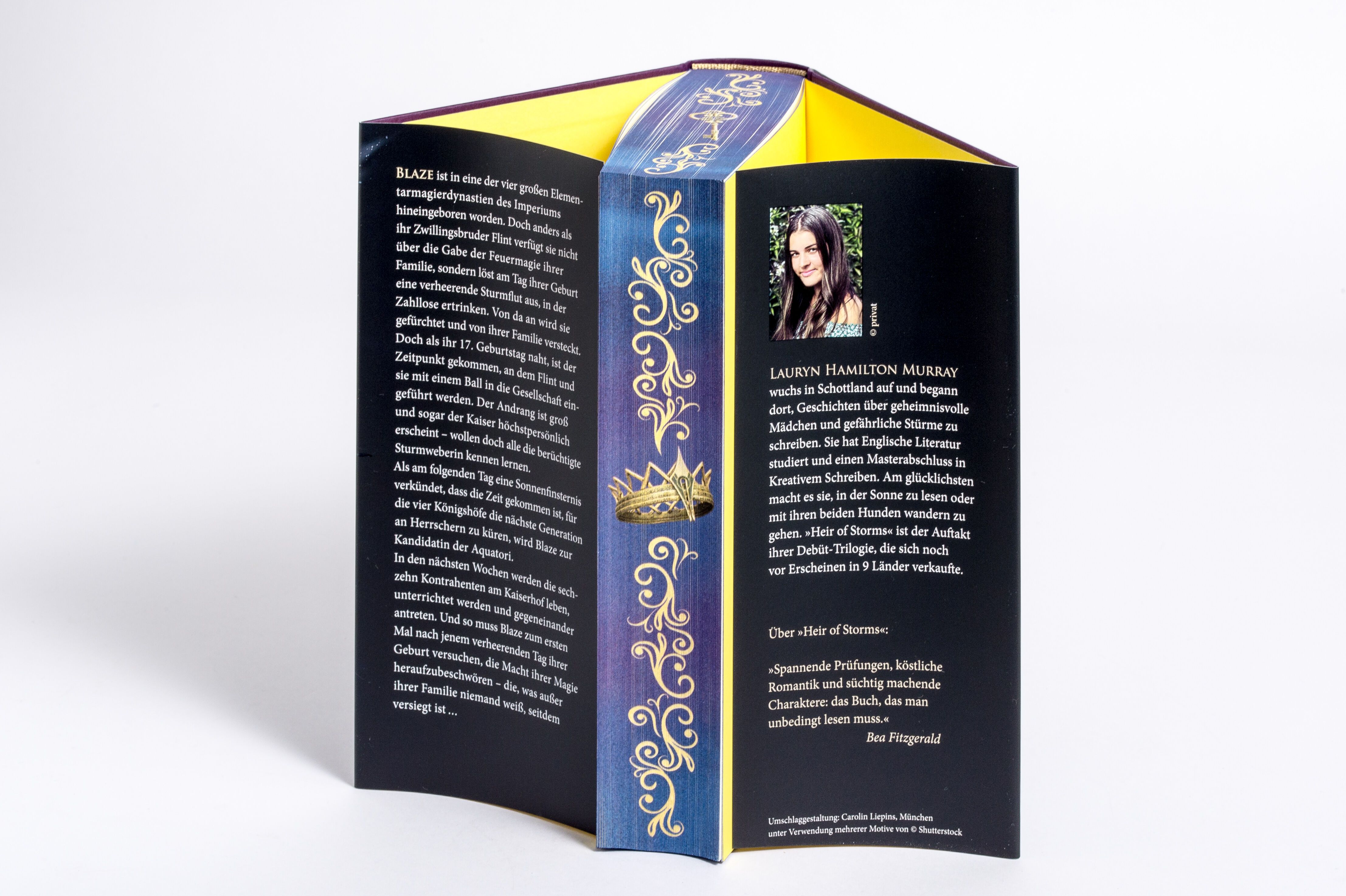 Abbildung 5 von Heir of Storms