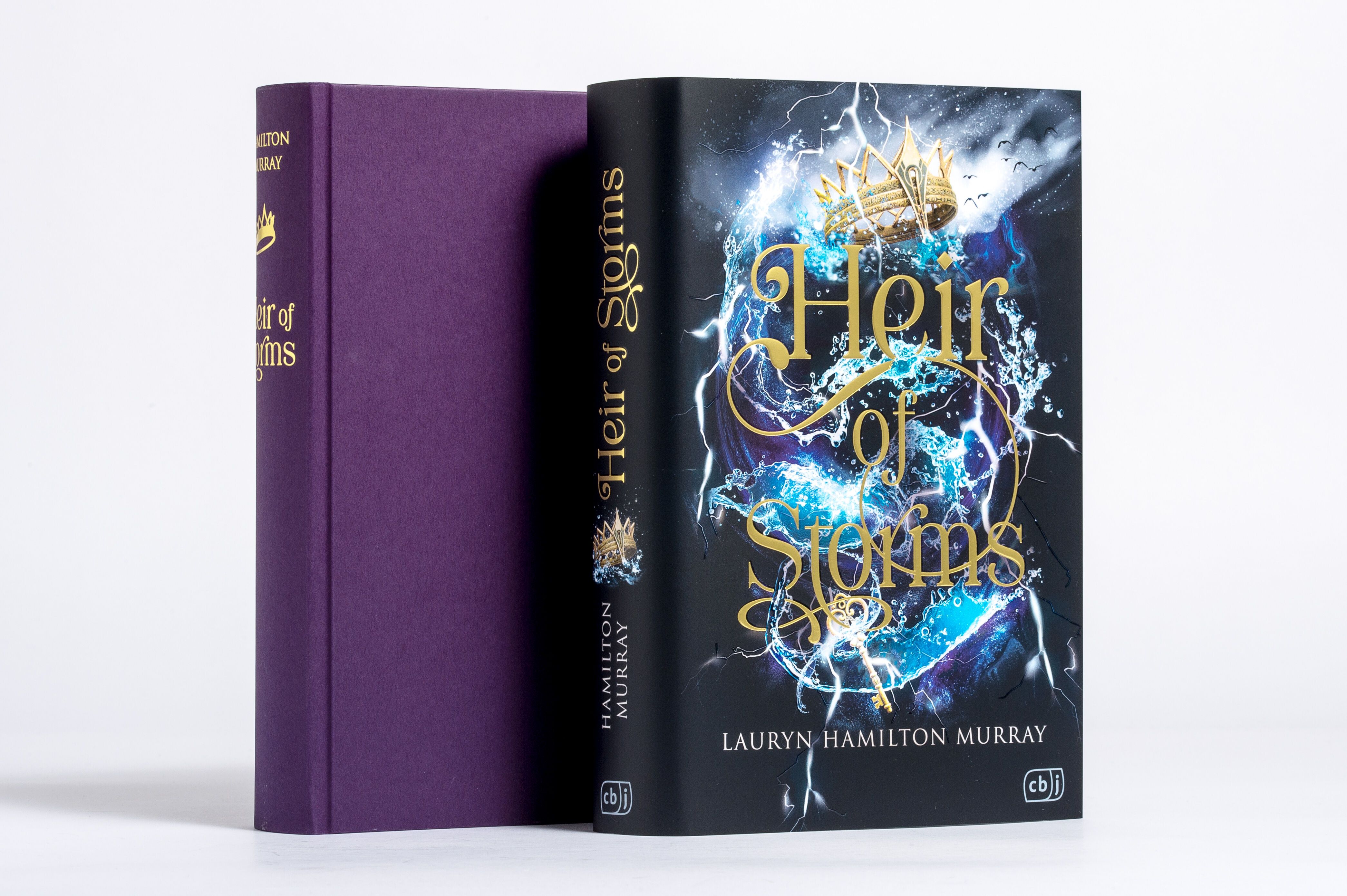Abbildung 4 von Heir of Storms