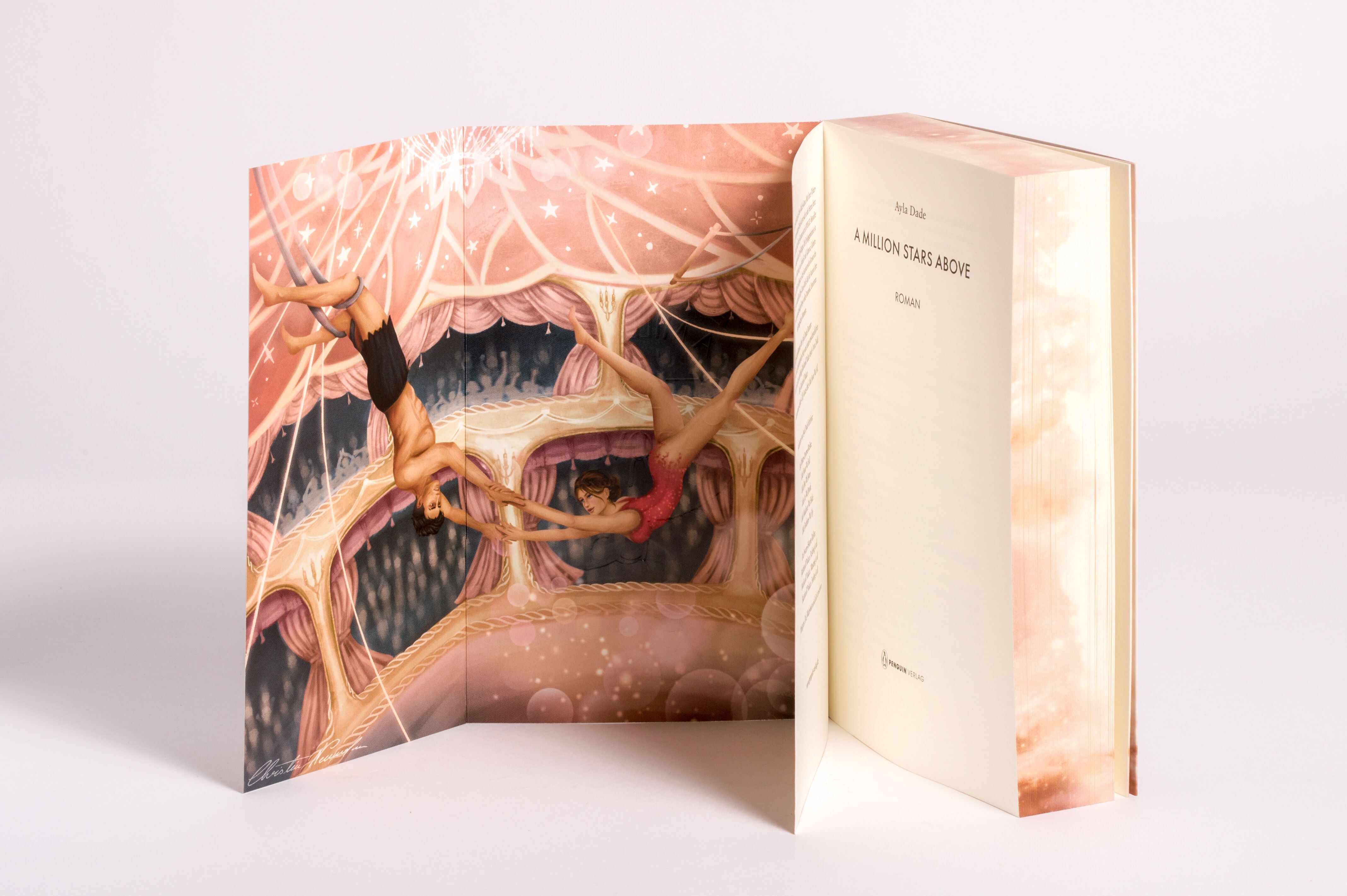 Abbildung 4 von A Million Stars Above