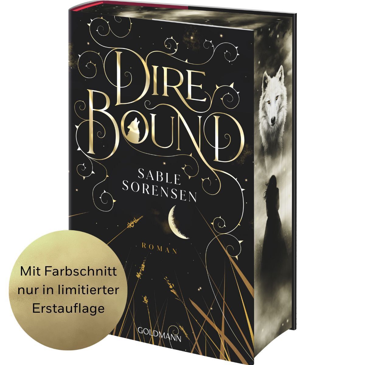 Abbildung 1 von Dire Bound