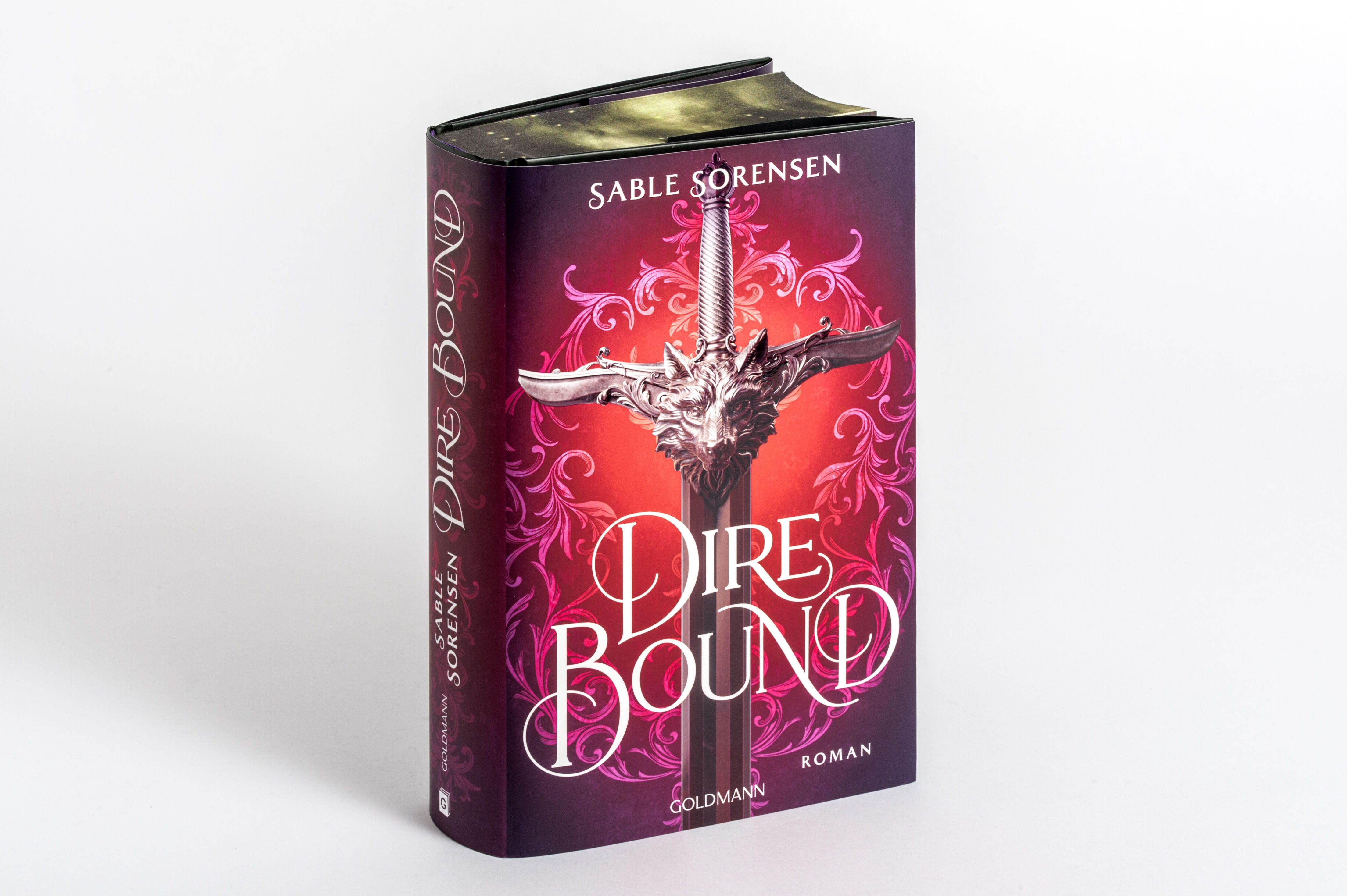 Abbildung 5 von Dire Bound