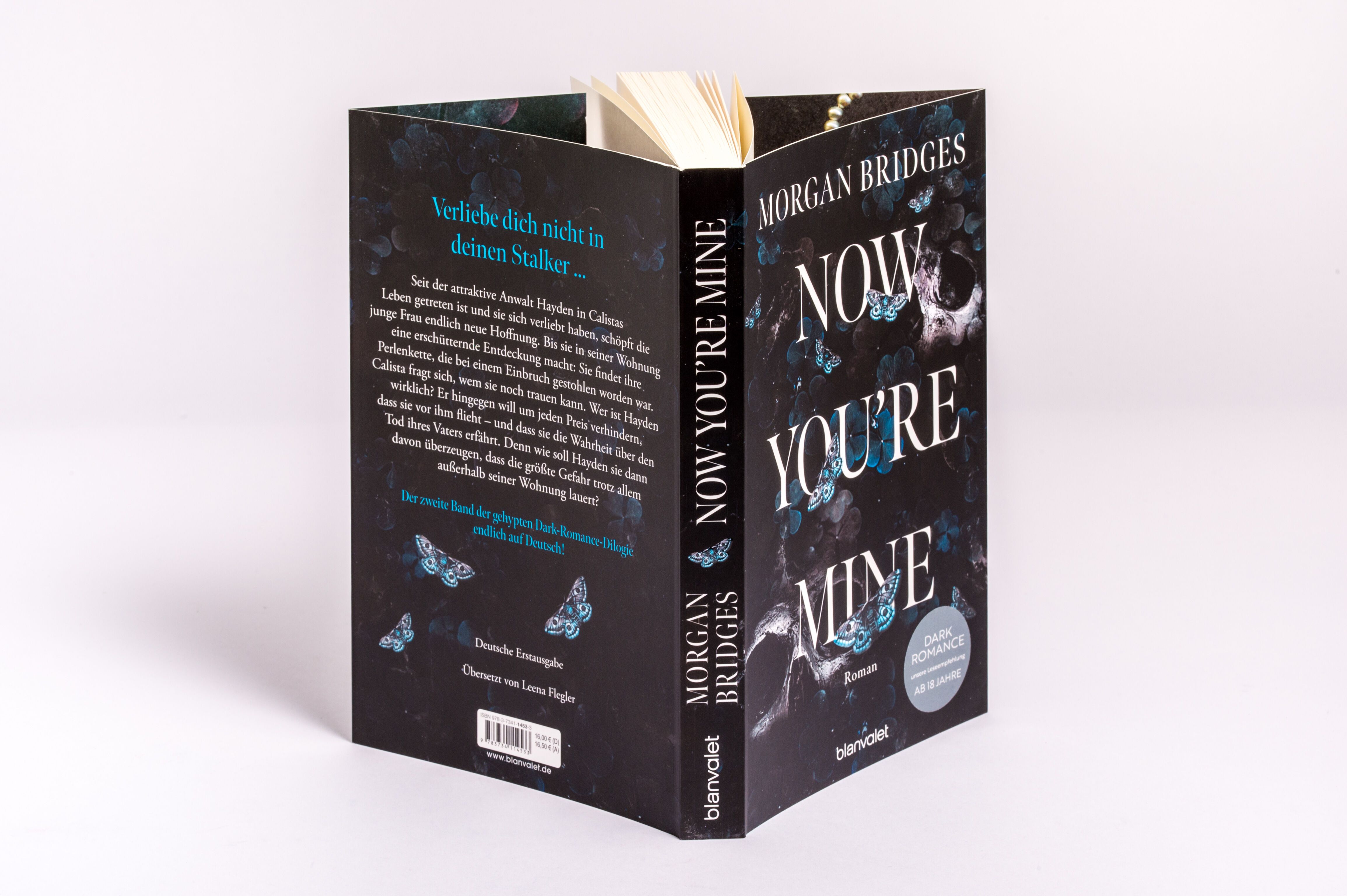 Abbildung 2 von Now You're Mine