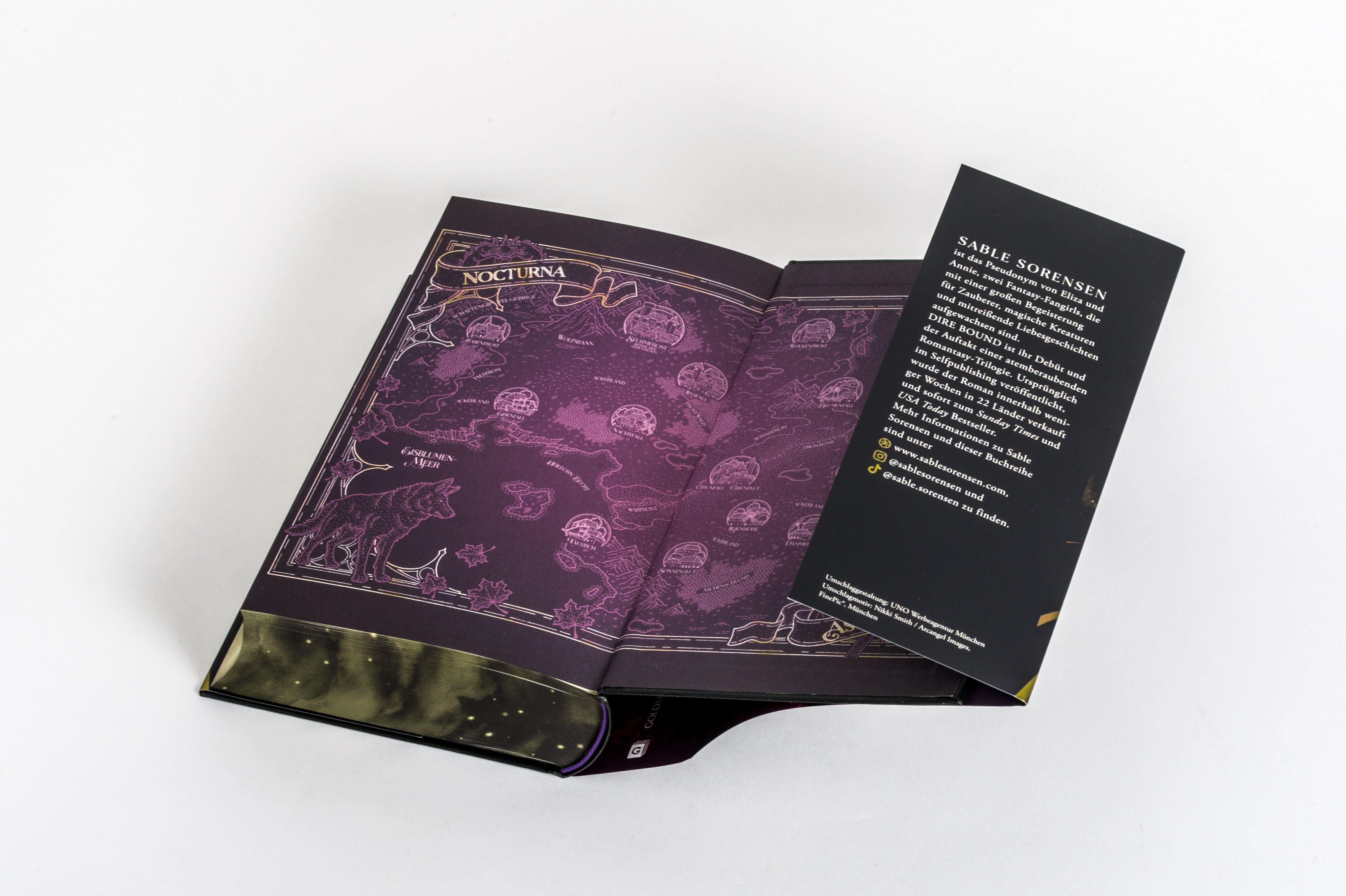 Abbildung 9 von Dire Bound