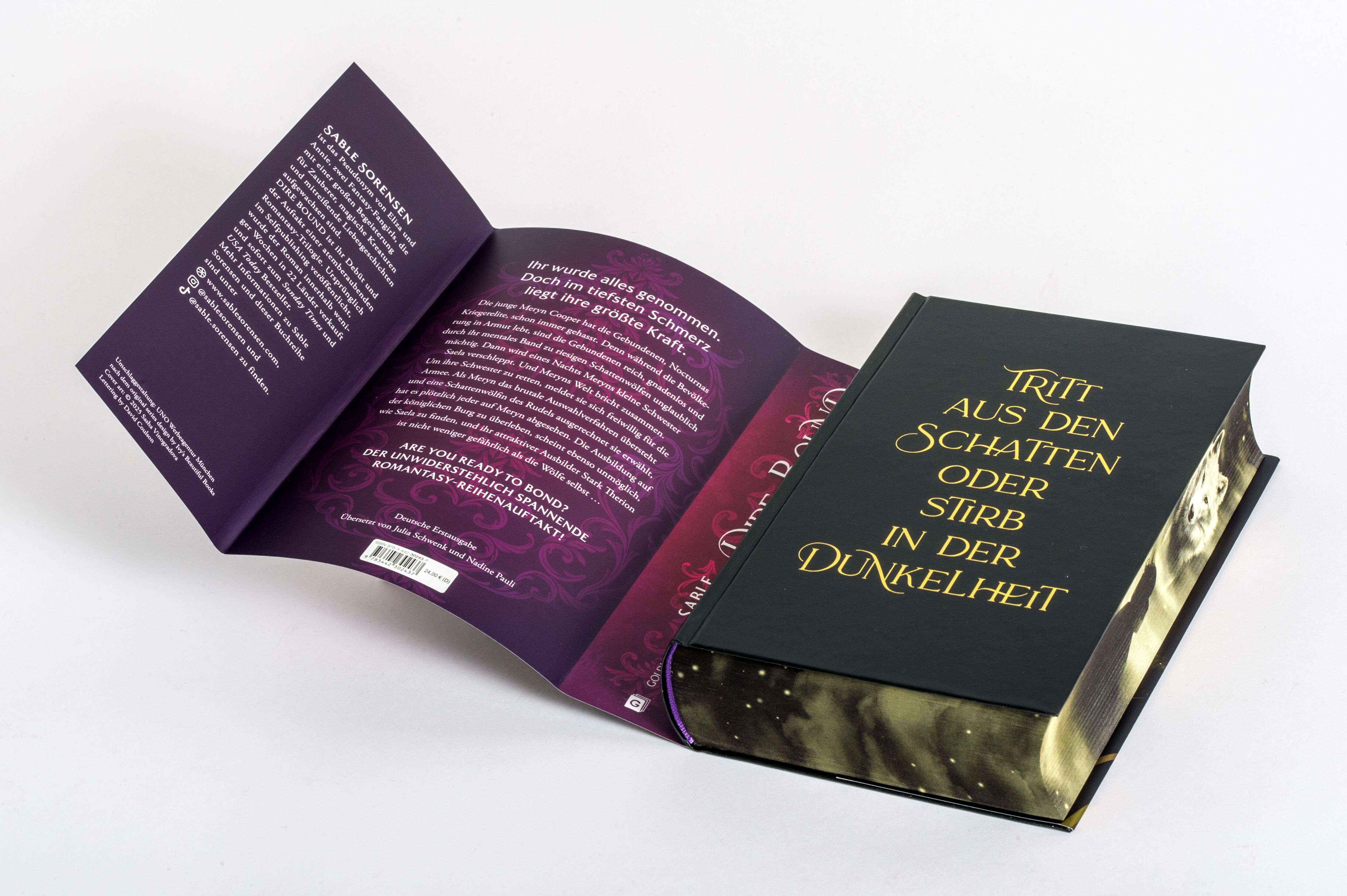Abbildung 7 von Dire Bound