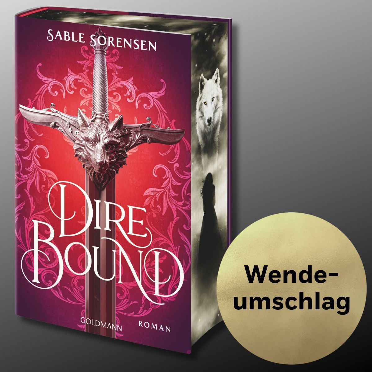 Abbildung 13 von Dire Bound
