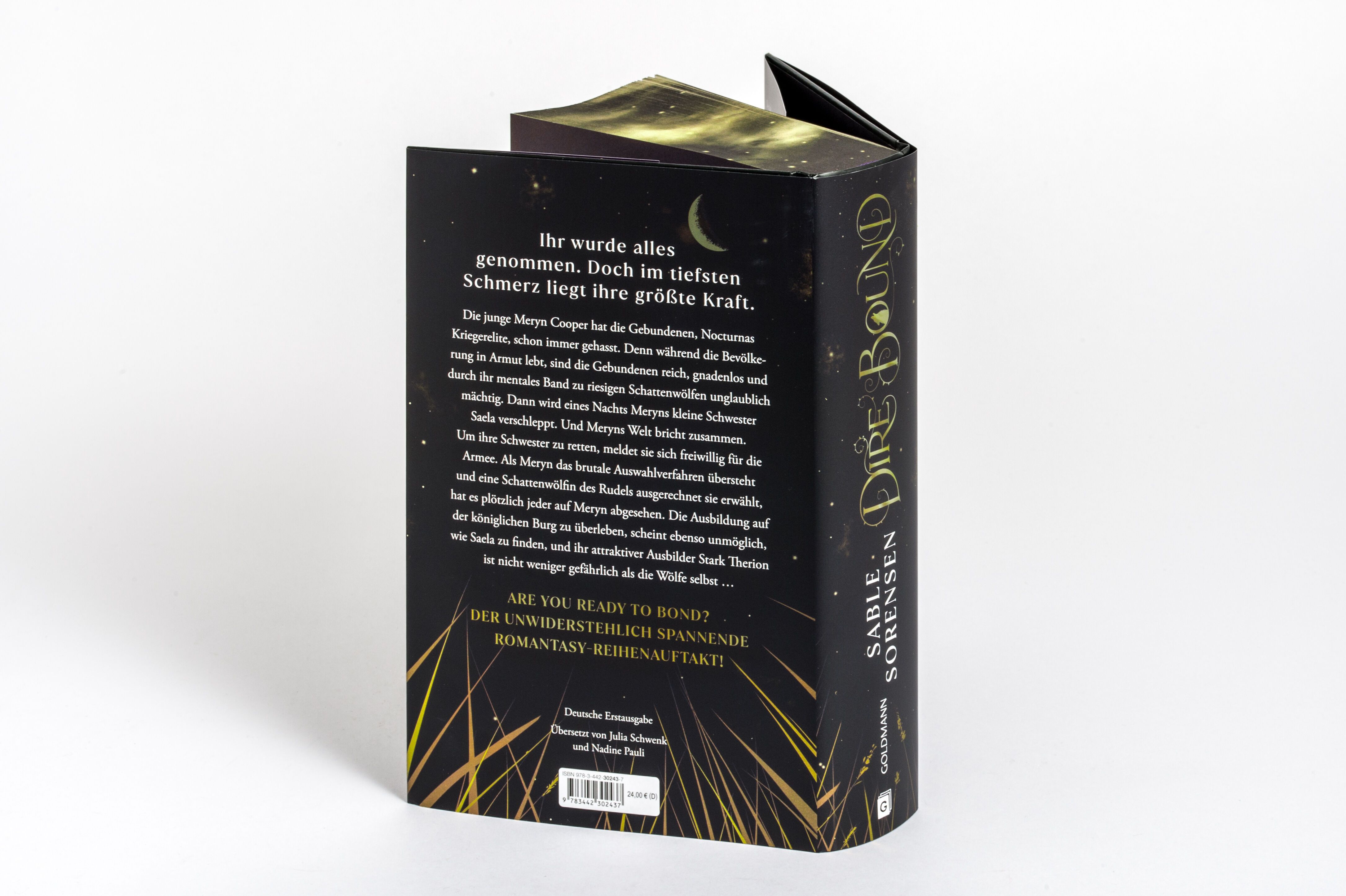 Abbildung 3 von Dire Bound