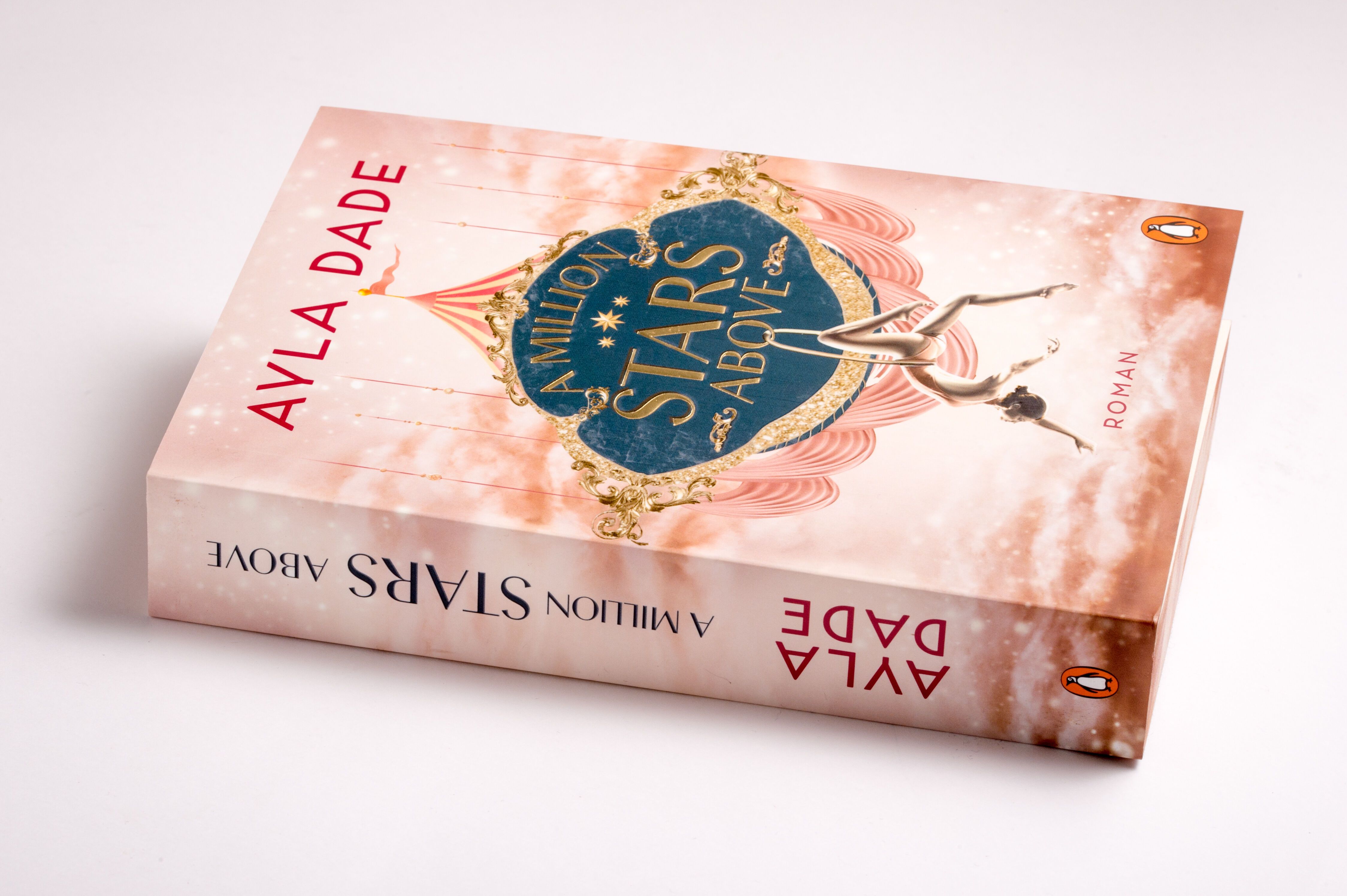 Abbildung 6 von A Million Stars Above