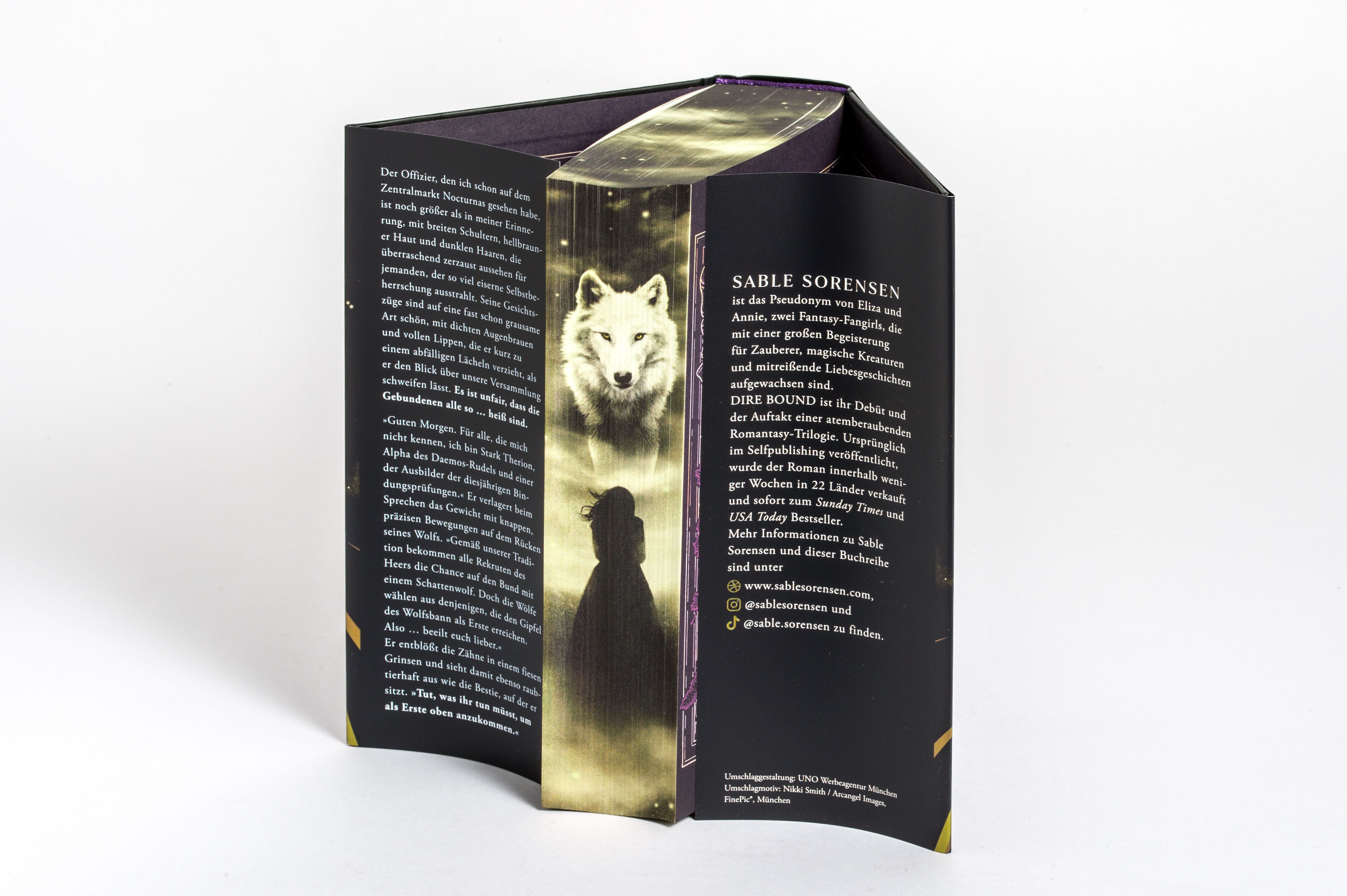 Abbildung 4 von Dire Bound