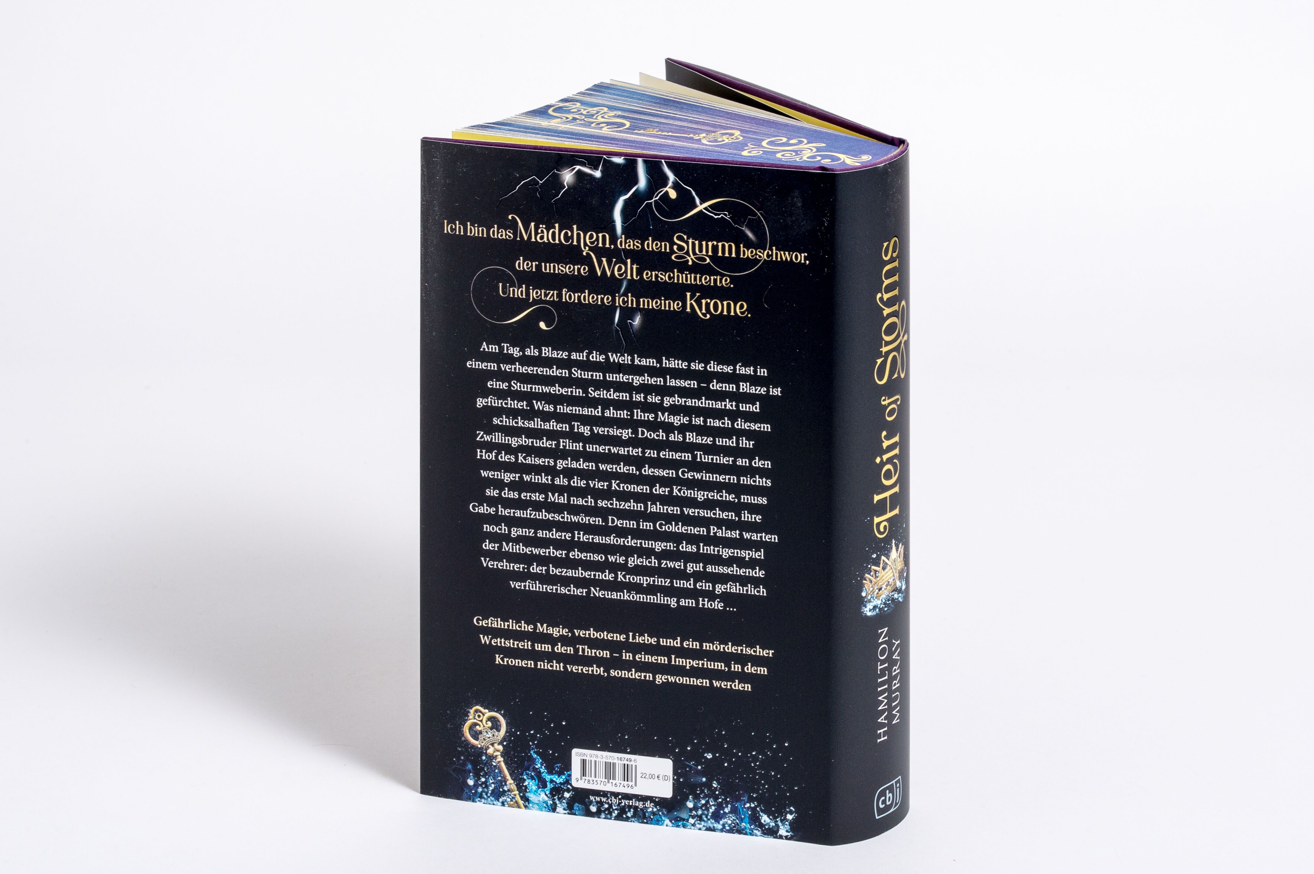 Abbildung 3 von Heir of Storms