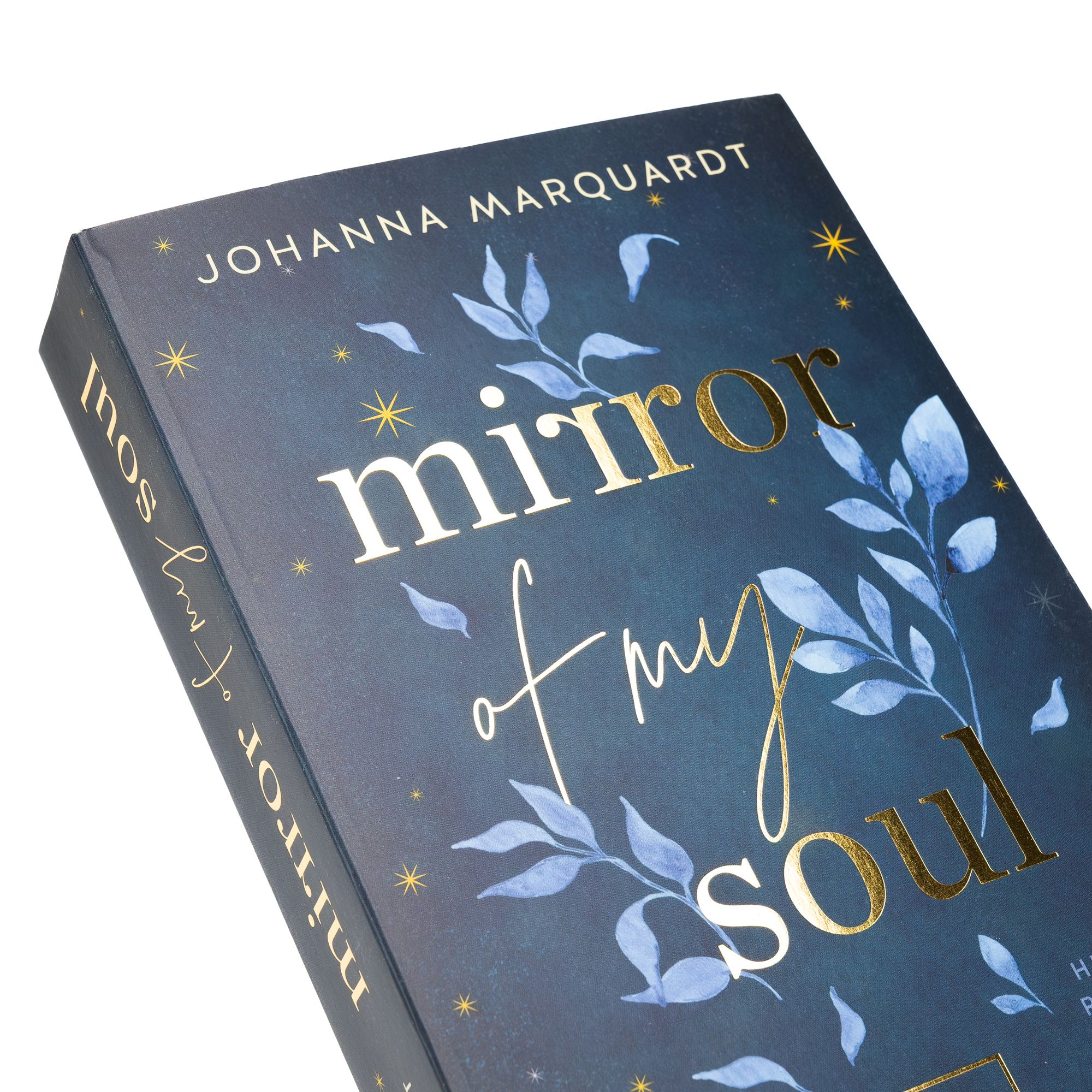 Abbildung 2 von Mirror Of My Soul. Emil & Paola
