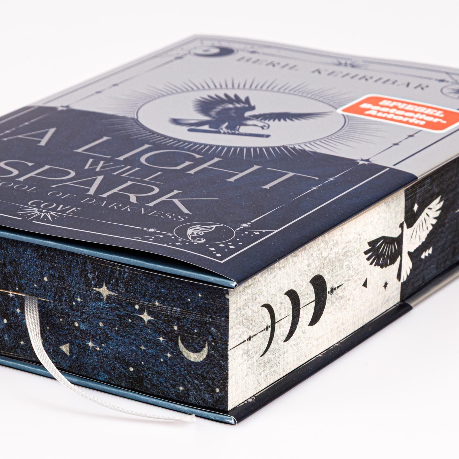 Abbildung 3 von A Light Will Spark (School of Darkness 2)