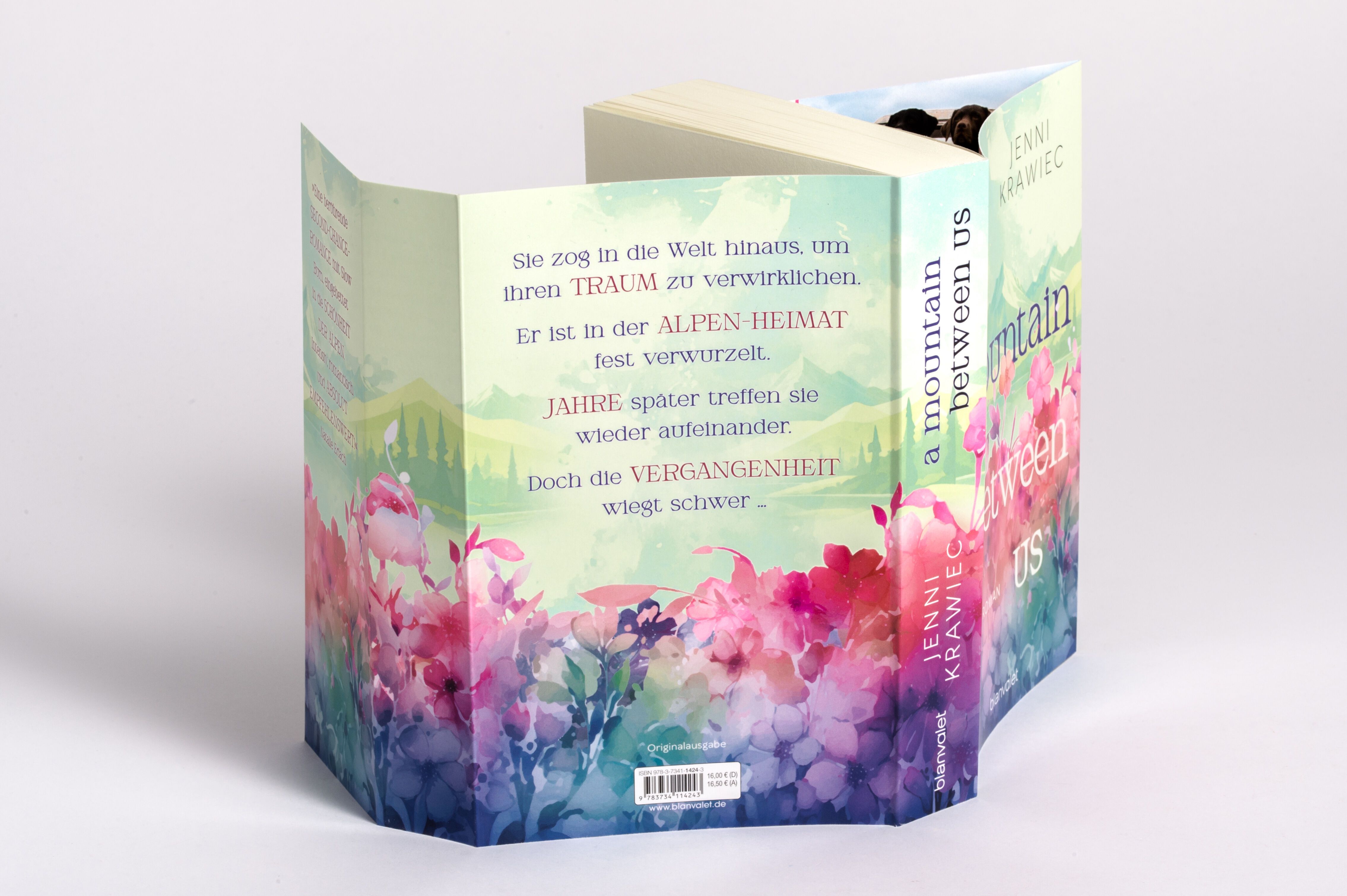 Abbildung 2 von A Mountain Between Us