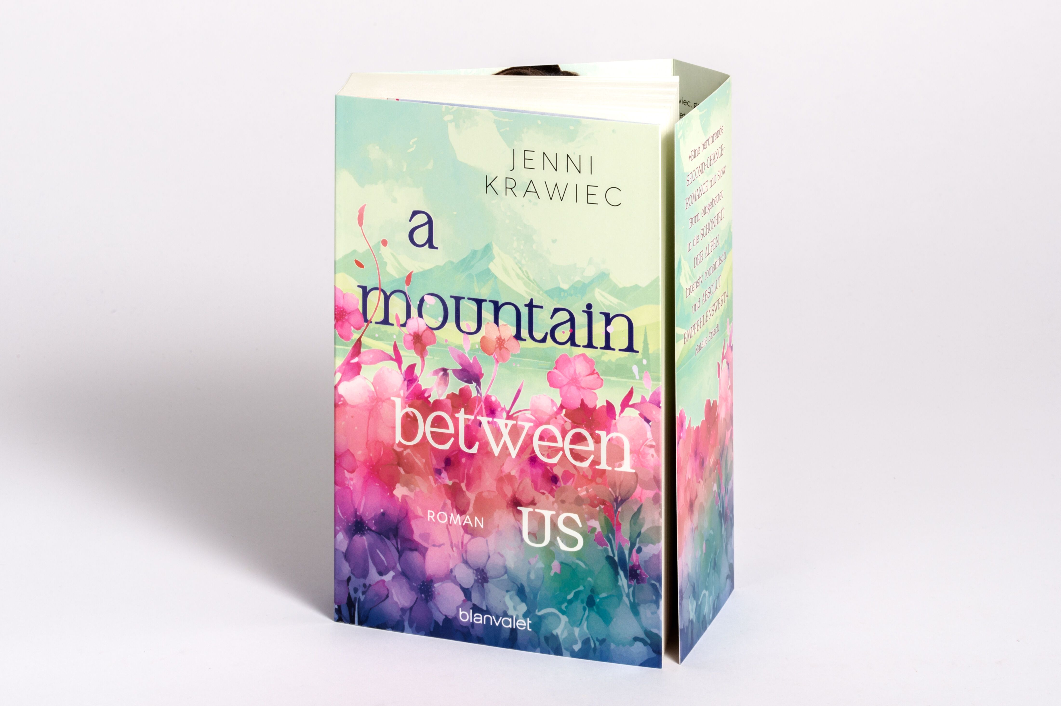 Abbildung 1 von A Mountain Between Us