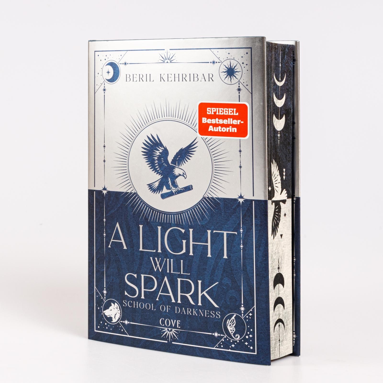 Abbildung 1 von A Light Will Spark (School of Darkness 2)
