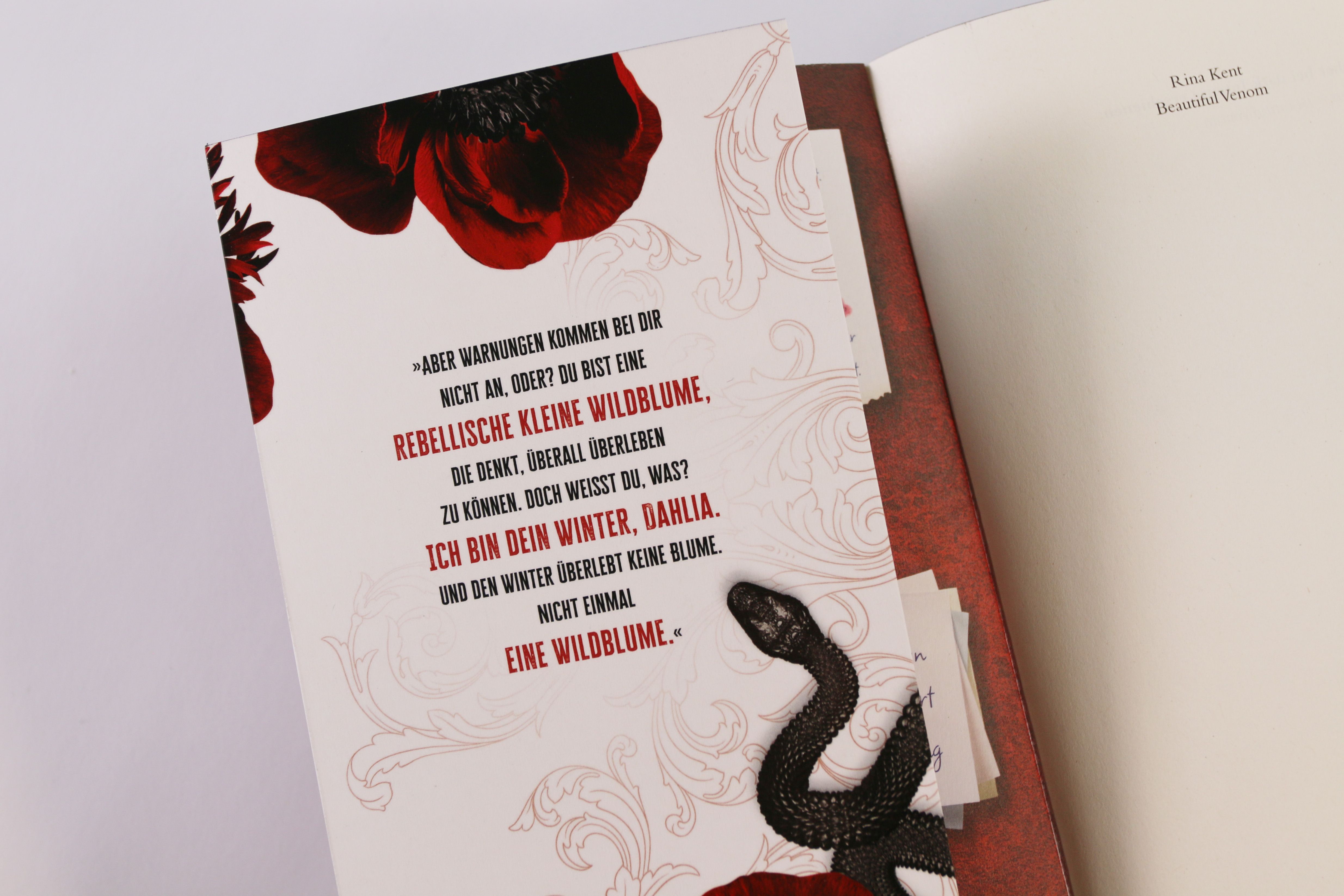 Abbildung 4 von Beautiful Venom (Vipers, Band 1)