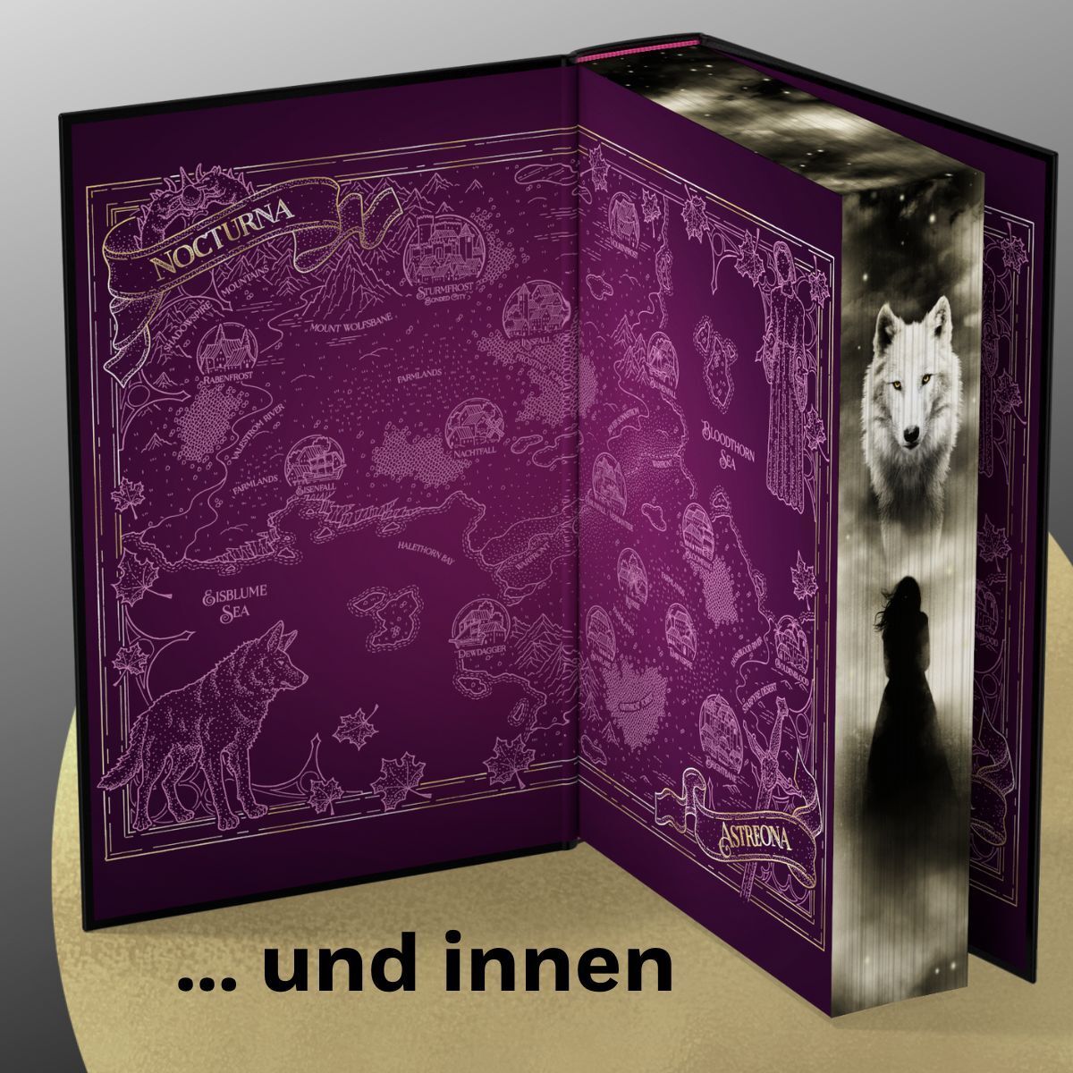 Abbildung 15 von Dire Bound
