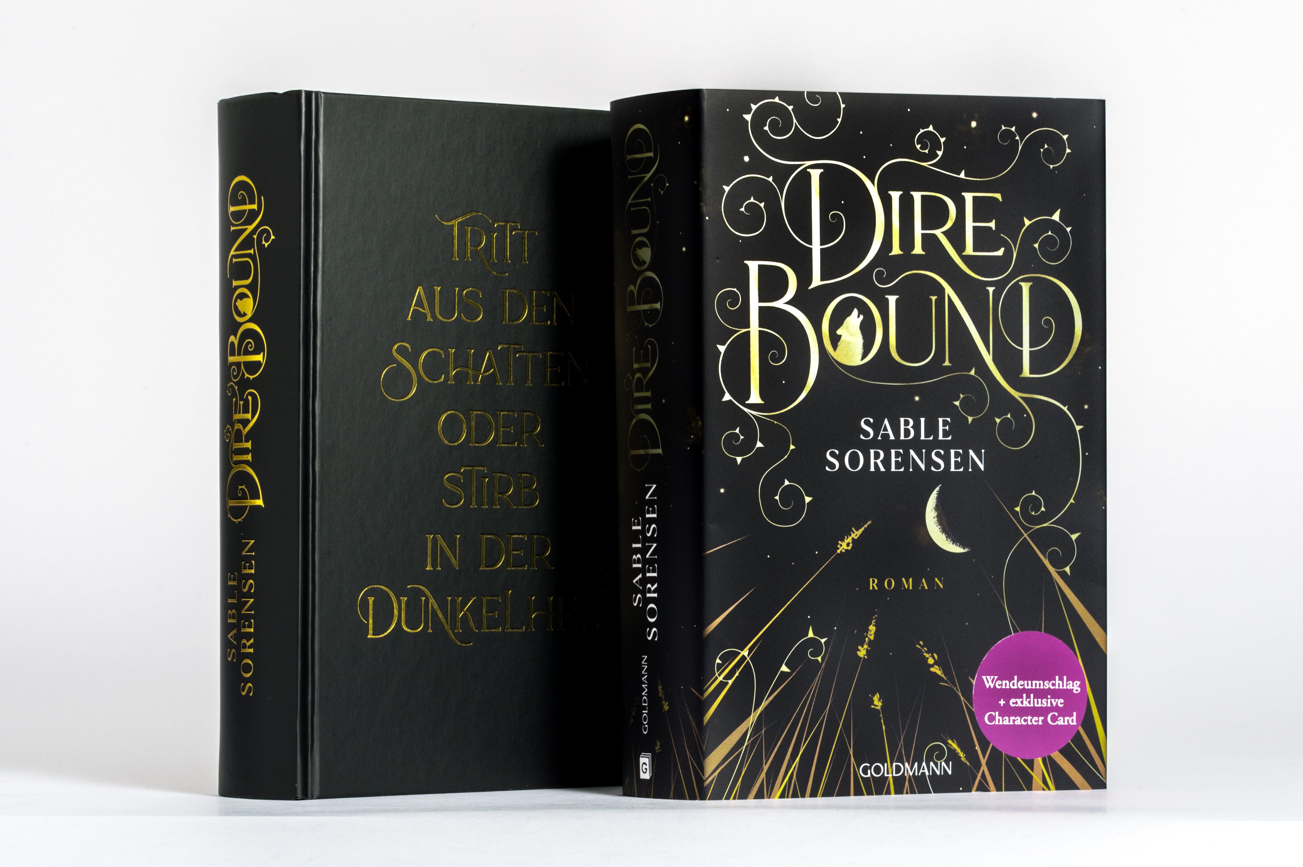 Abbildung 6 von Dire Bound