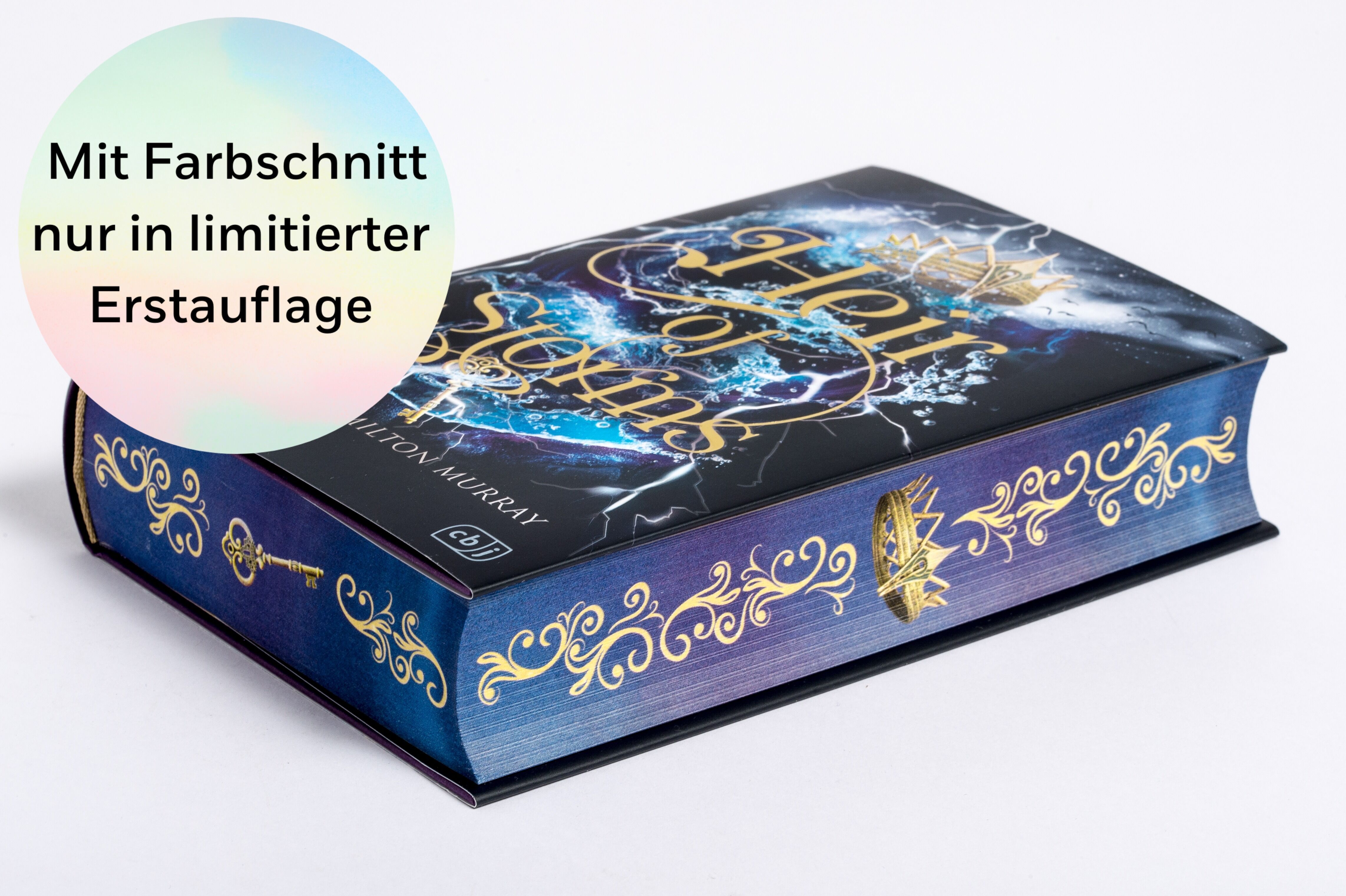 Abbildung 2 von Heir of Storms