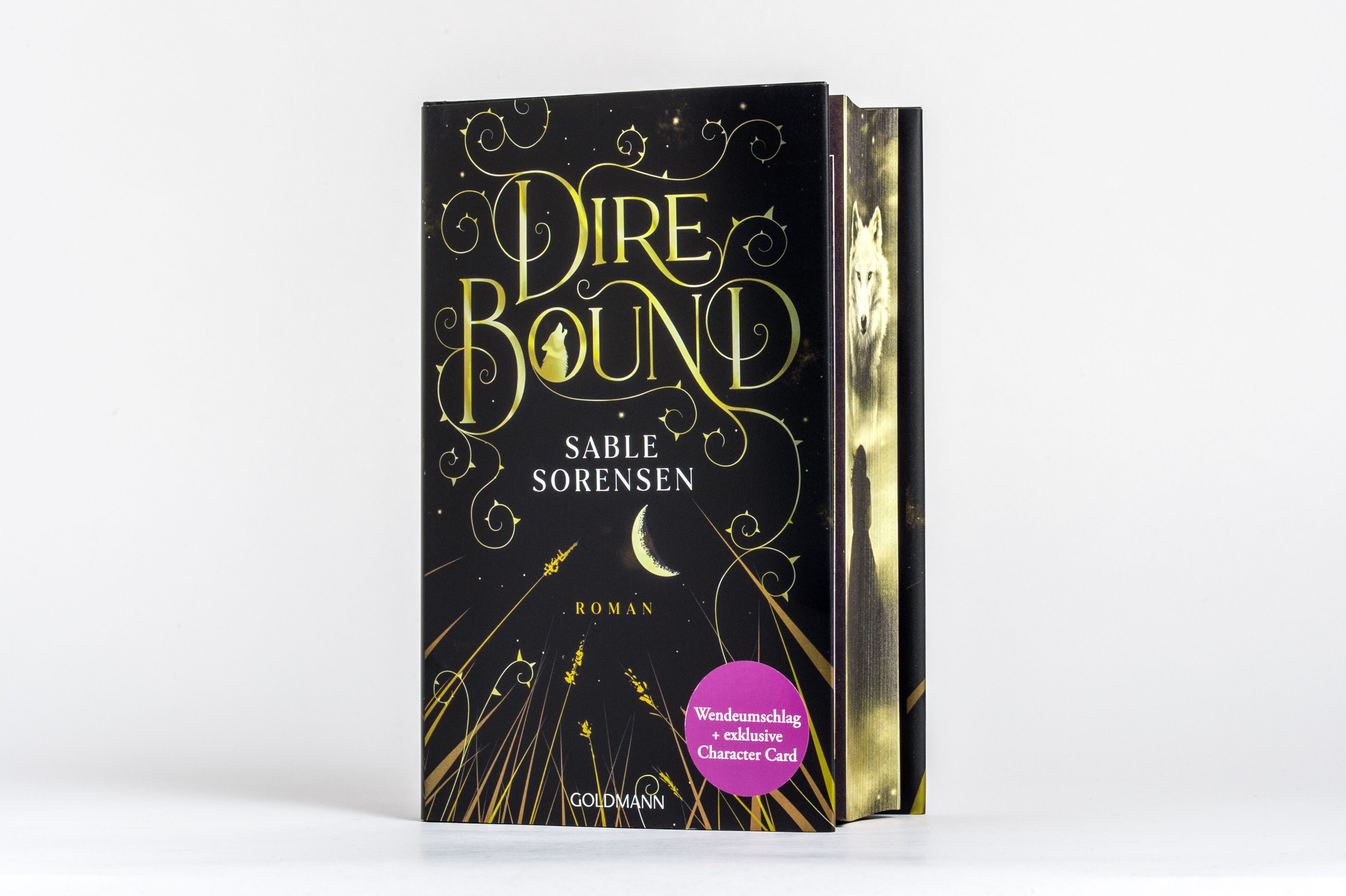 Abbildung 2 von Dire Bound