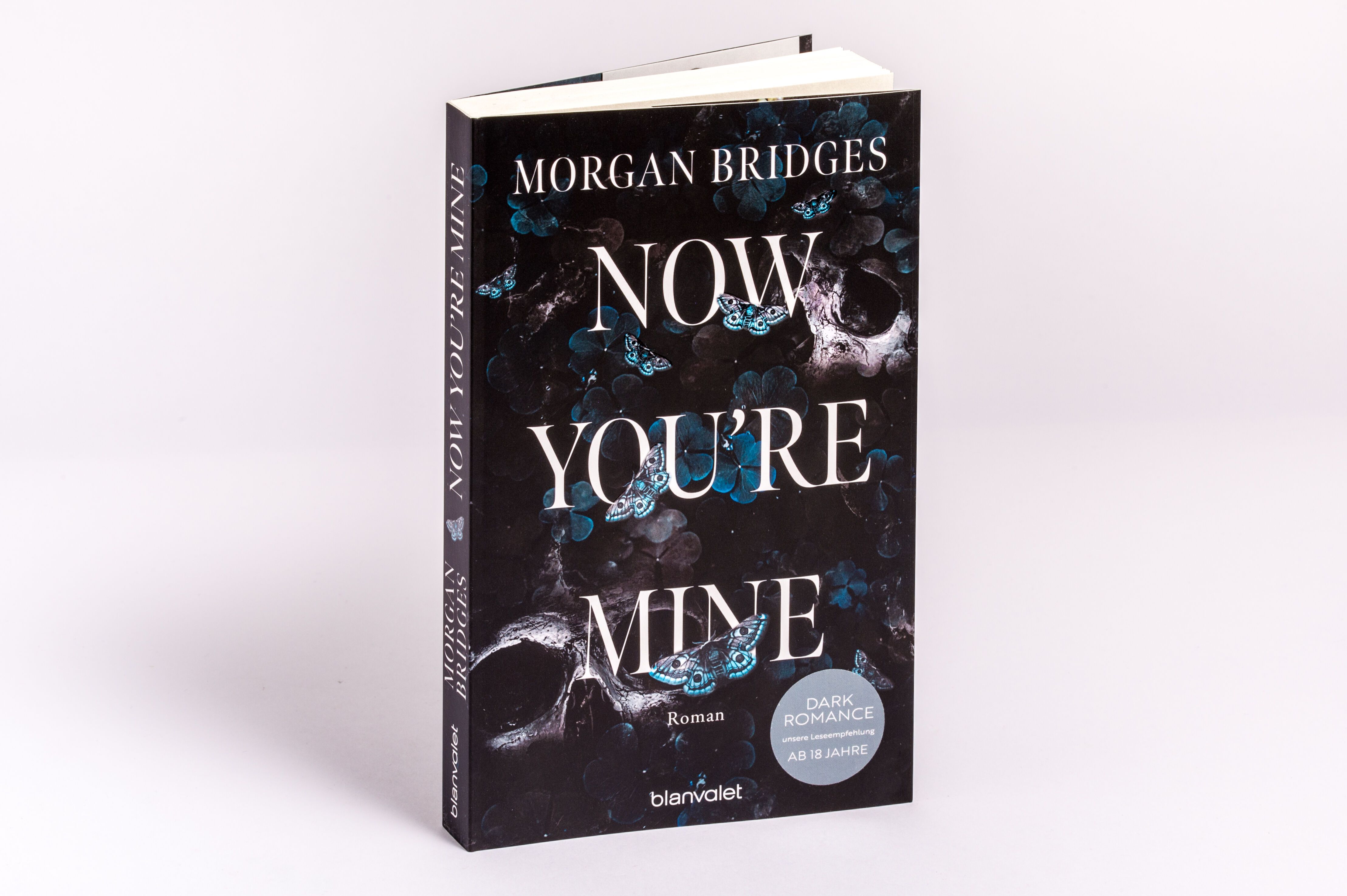 Abbildung 1 von Now You're Mine