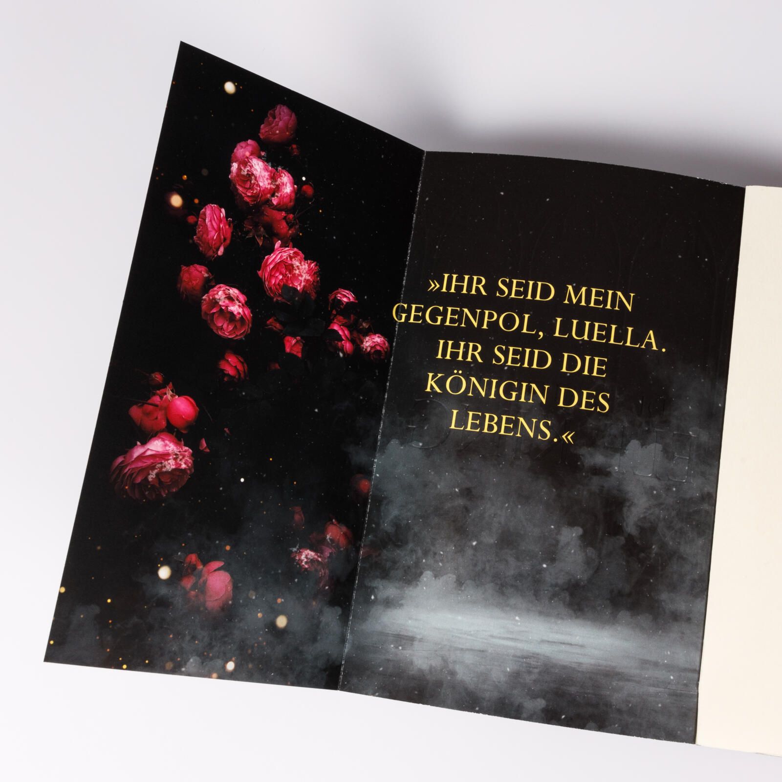 Abbildung 5 von Married into Magic: Deal with the Elf King