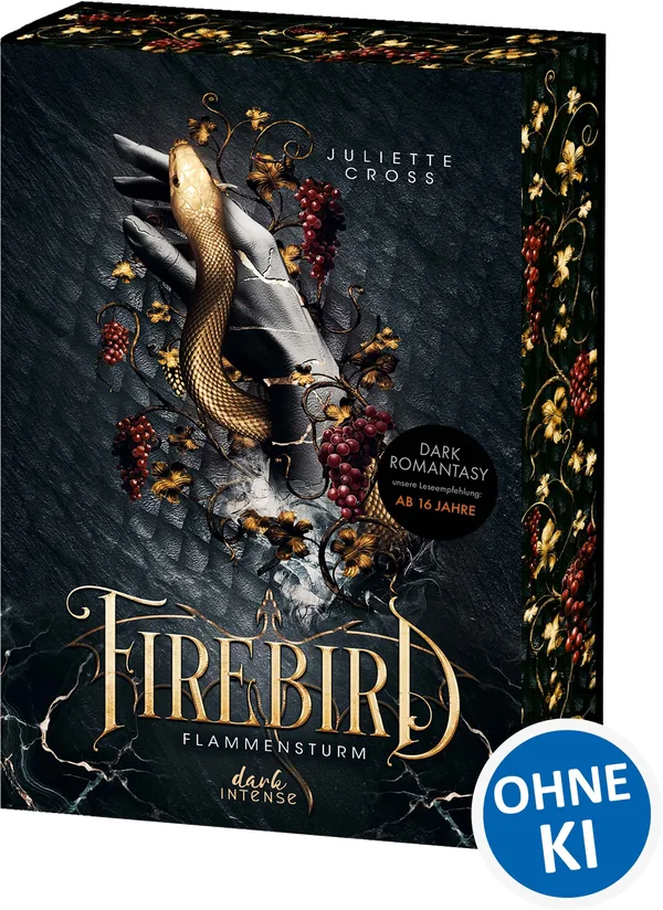 Cover von Flammensturm (Band 1) – Firebird
