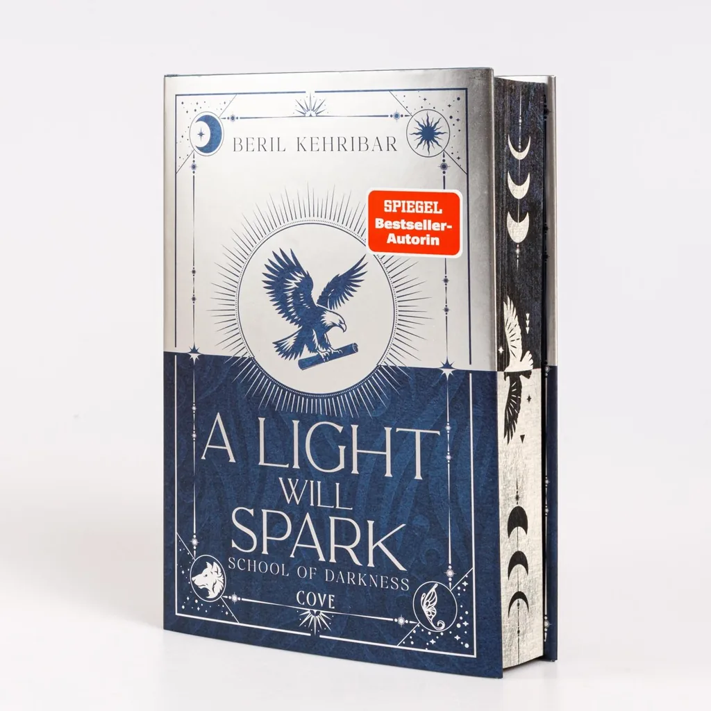 Abbildung 1 von A Light Will Spark (School of Darkness 2)