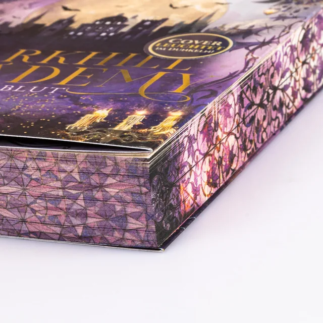 Abbildung 4 von Darkhill Academy 1: Magisches Blut