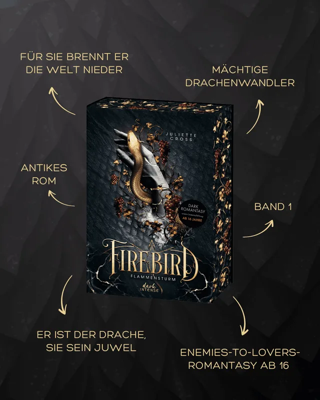 Abbildung 2 von Flammensturm (Band 1) - Firebird