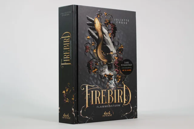 Abbildung 4 von Flammensturm (Band 1) - Firebird