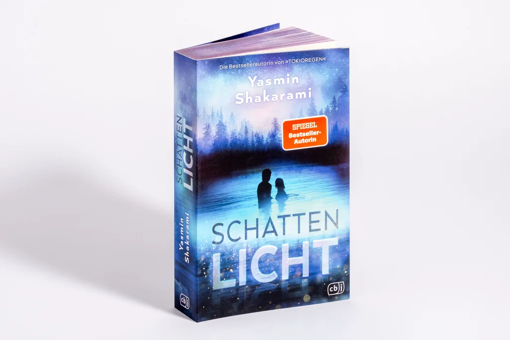 Abbildung 1 von Schattenlicht