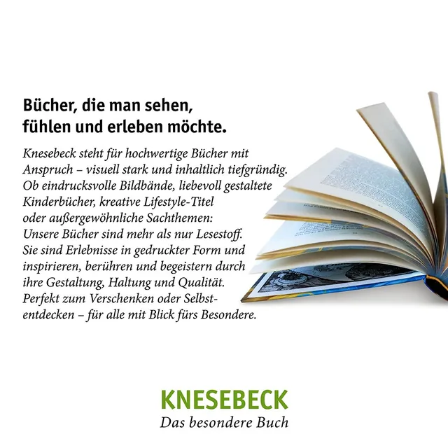 Abbildung 7 von Was ihr wollt - die Graphic Novel nach William Shakespeare